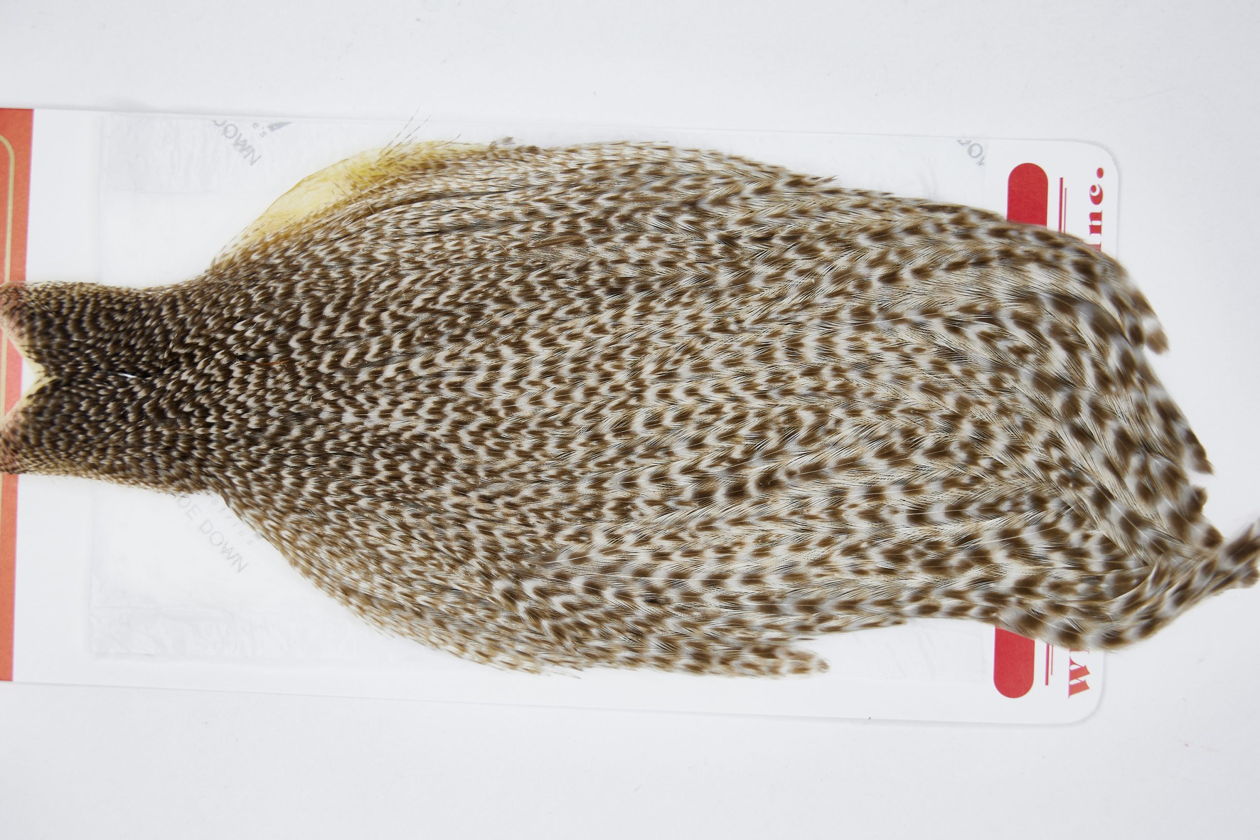 11527 Whiting Wet Fly Hen Cape Dun Grizzly