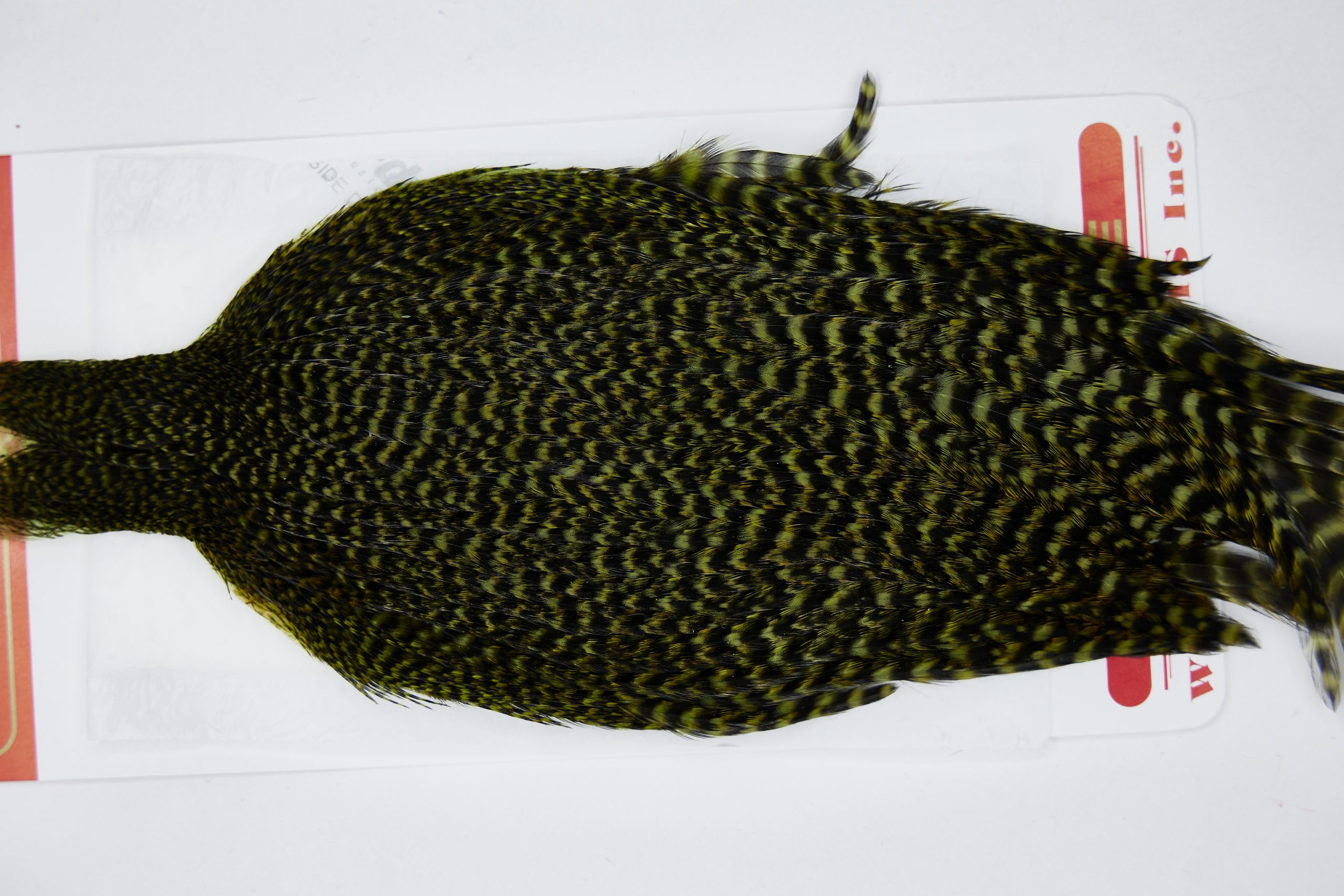 11544 Whiting Wet Fly Hen Cape Grizzly Olive