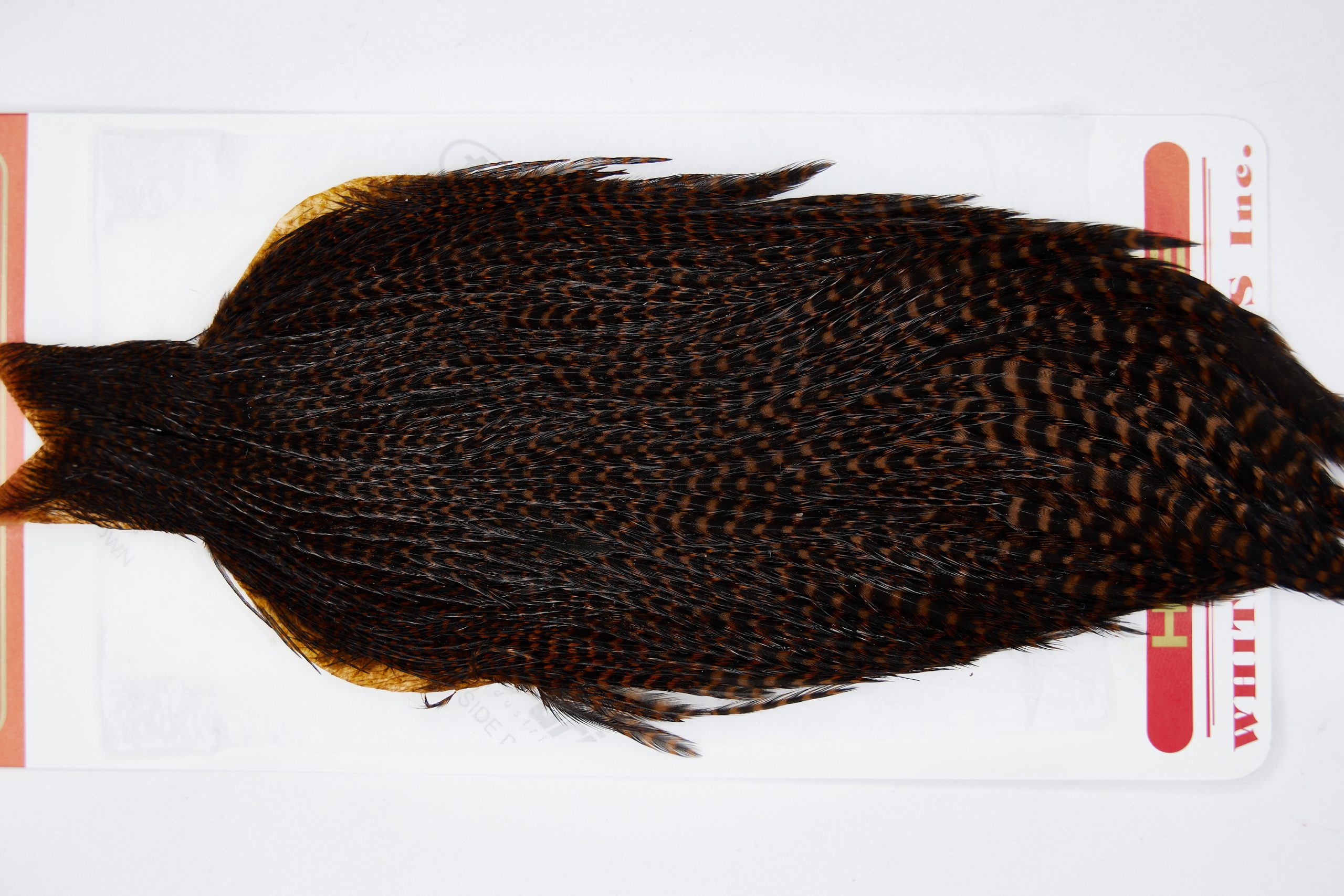 11555 Whiting Wet Fly Hen Cape Grizzly Brown