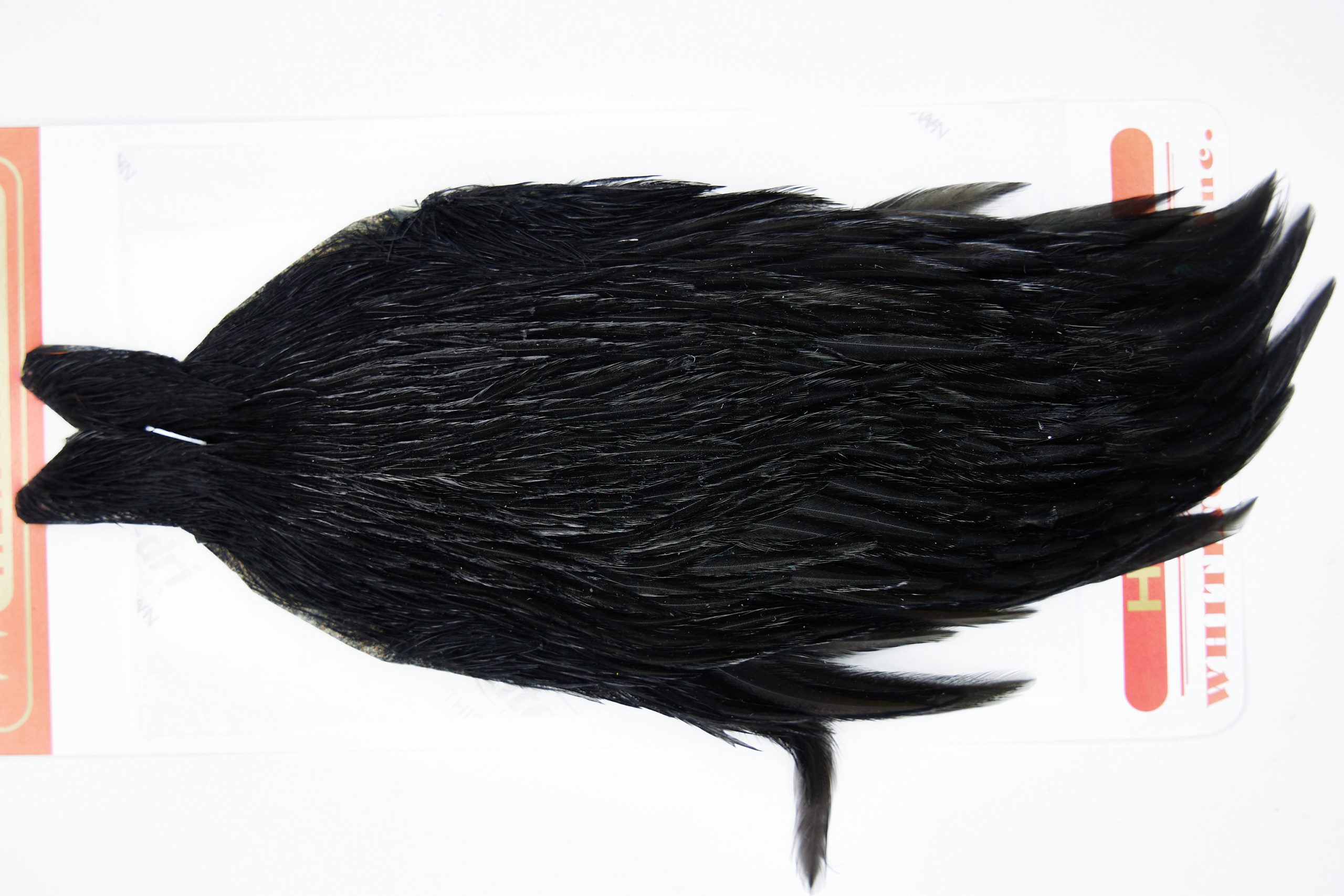 11559 Whiting Wet Fly Hen Cape Black