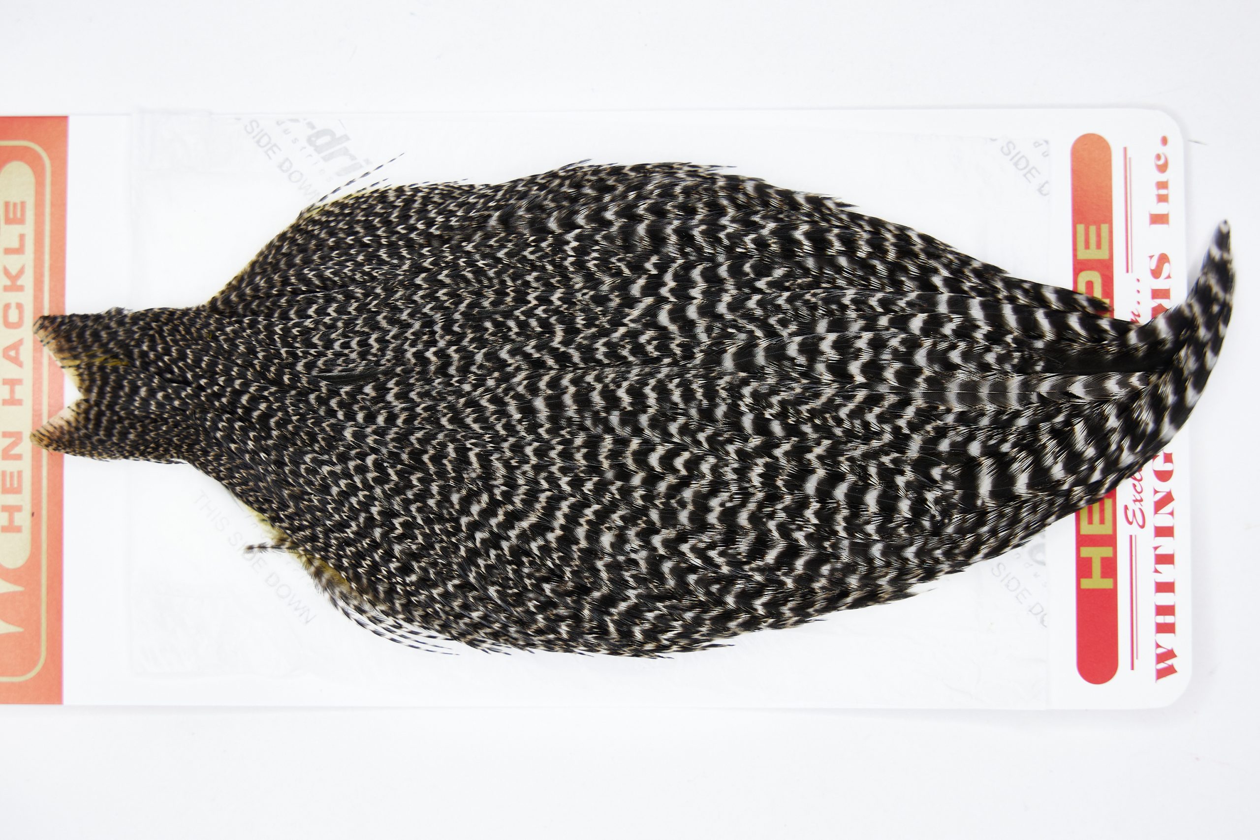 11562 Whiting Wet Fly Hen Cape Grizzly