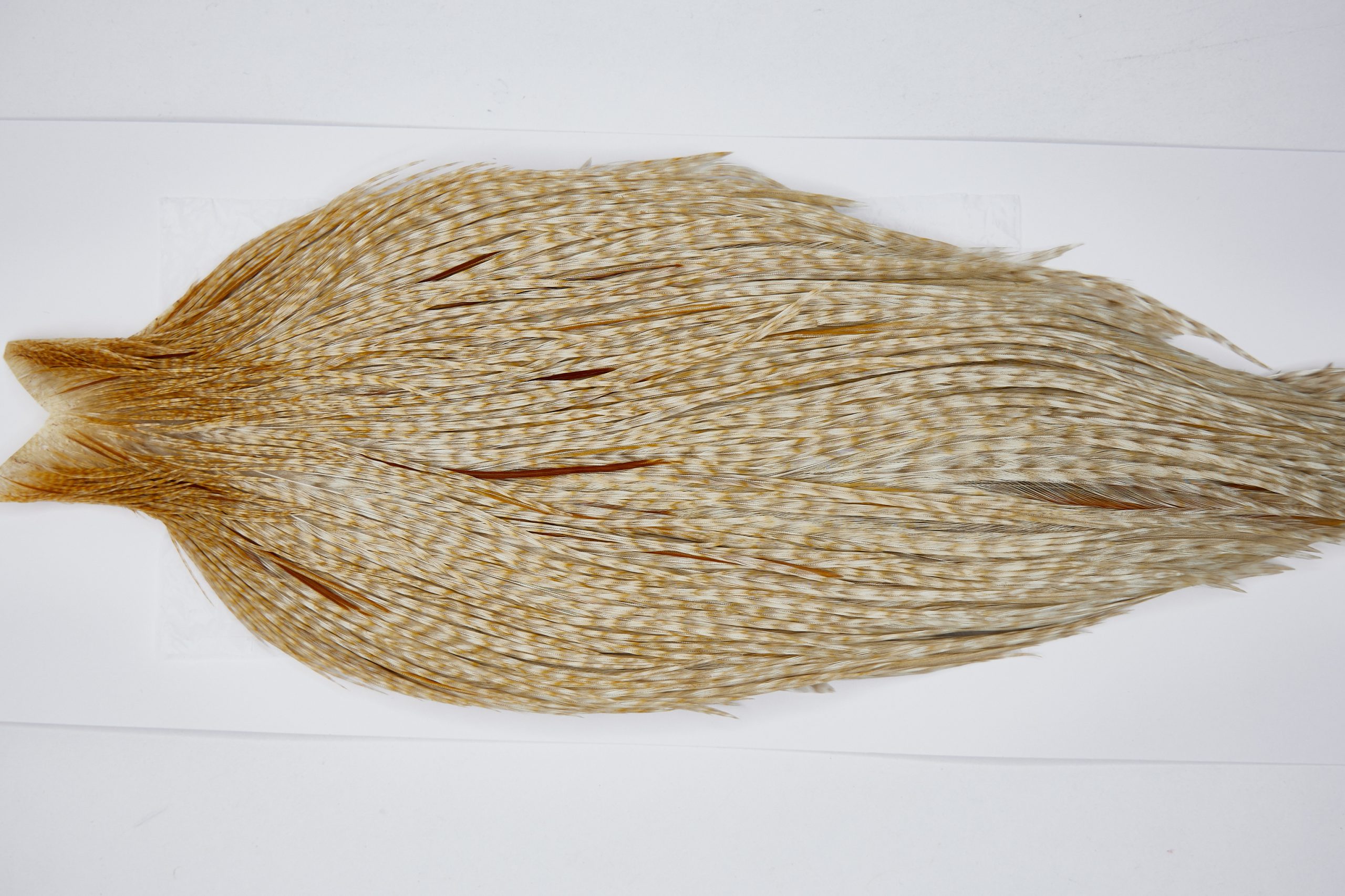 11576 Beaverkill Dry Fly Hackle Rooster Saddle Variant Ties Size 6-22