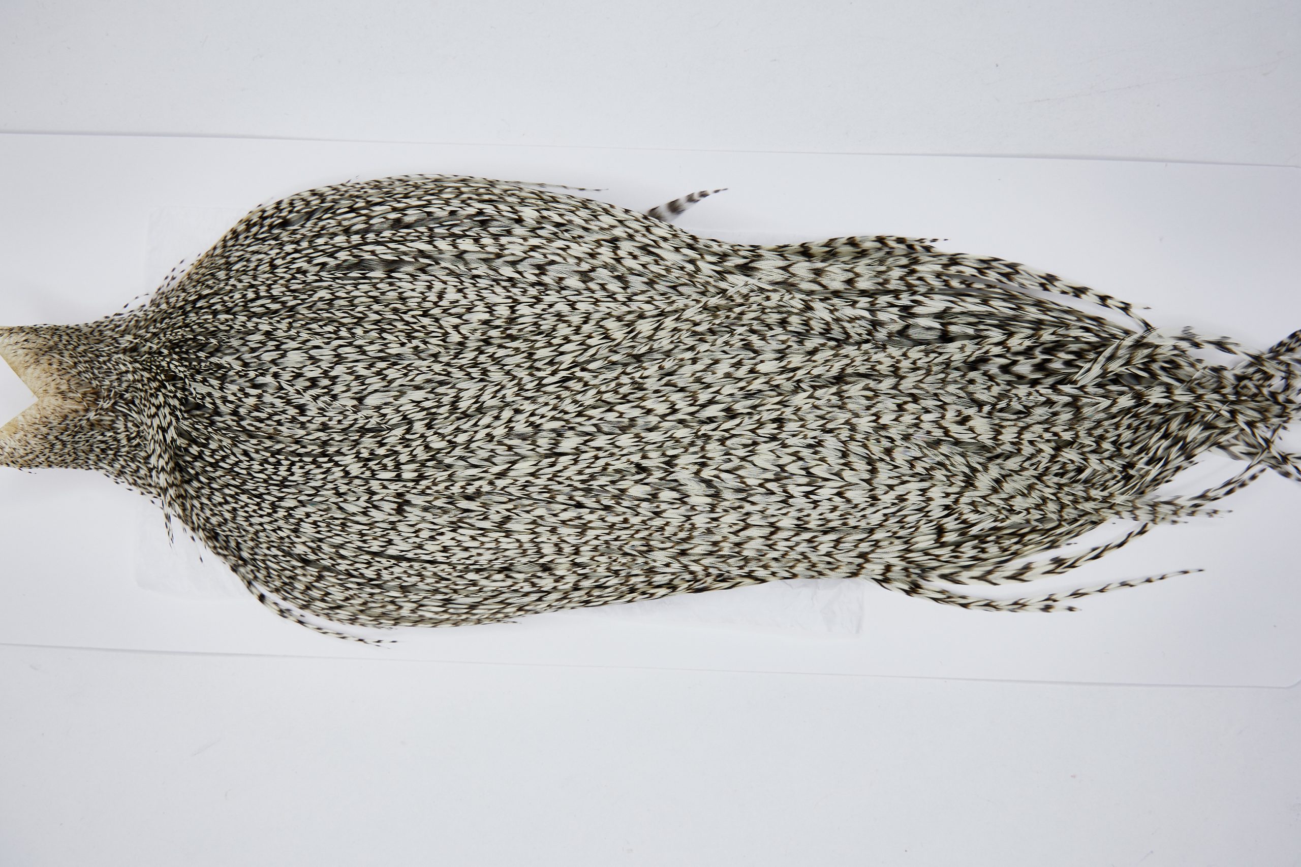 11578 Beaverkill Dry Fly Hackle Rooster Saddle Variant Ties Size 8-22