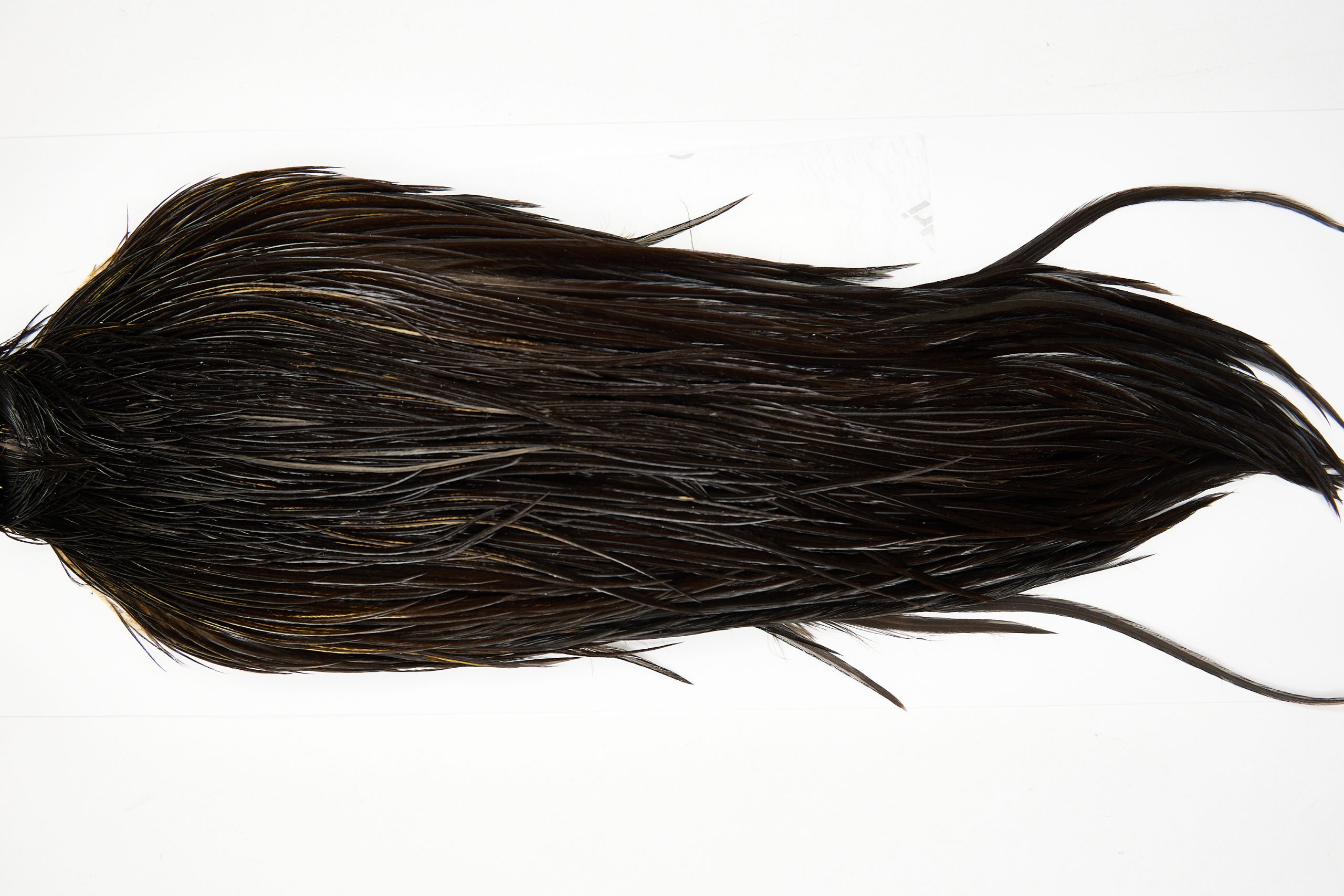 11593 Beaverkill Dry Fly Hackle Rooster Saddle Dark Brown Dun Ties Size 6-22