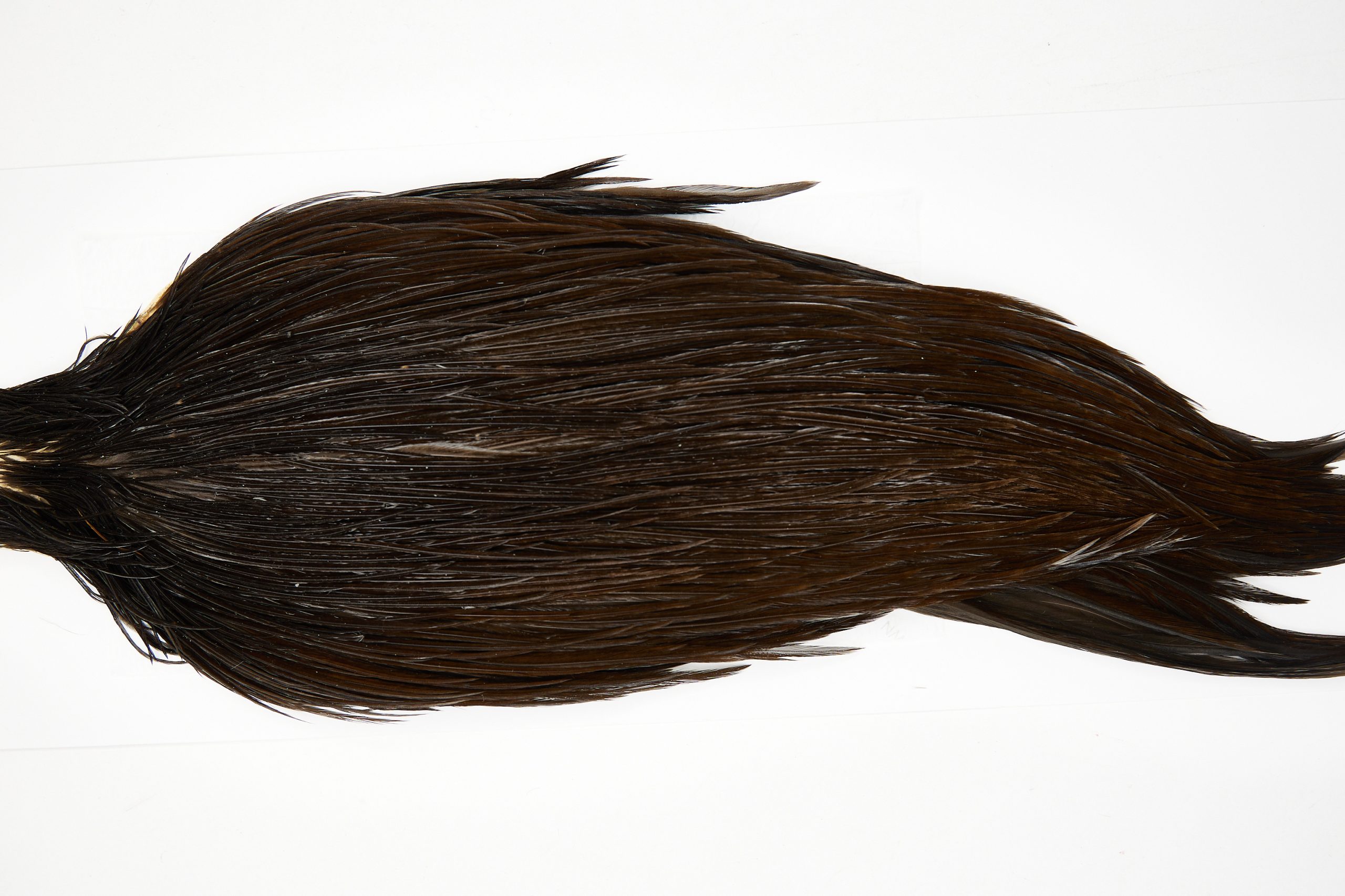 11594 Beaverkill Dry Fly Hackle Rooster Saddle Dark Brown Dun Ties Size 8-22