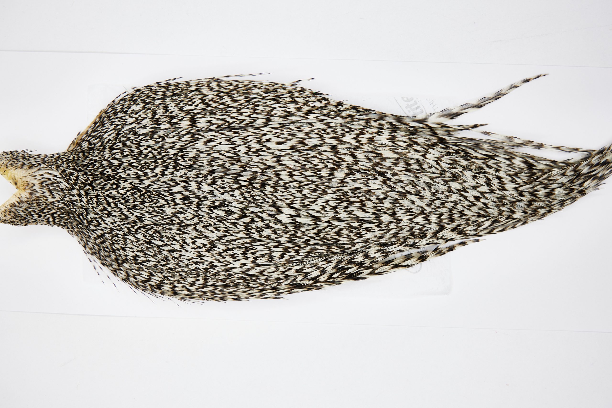 11607 Beaverkill Dry Fly Hackle Rooster Saddle Grizzly Ties Size 8-22