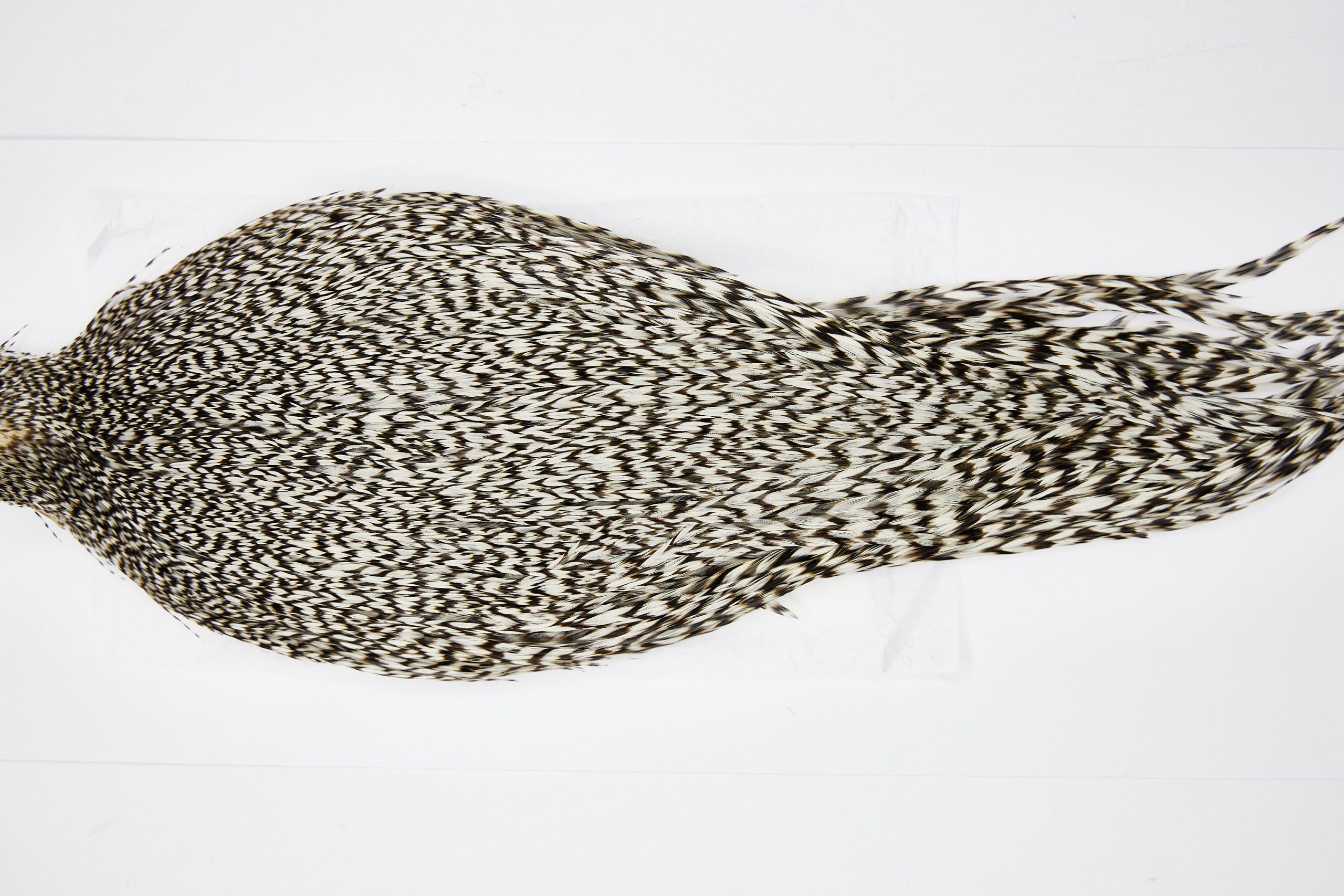 11608 Beaverkill Dry Fly Hackle Rooster Saddle Grizzly Ties Size 8-22