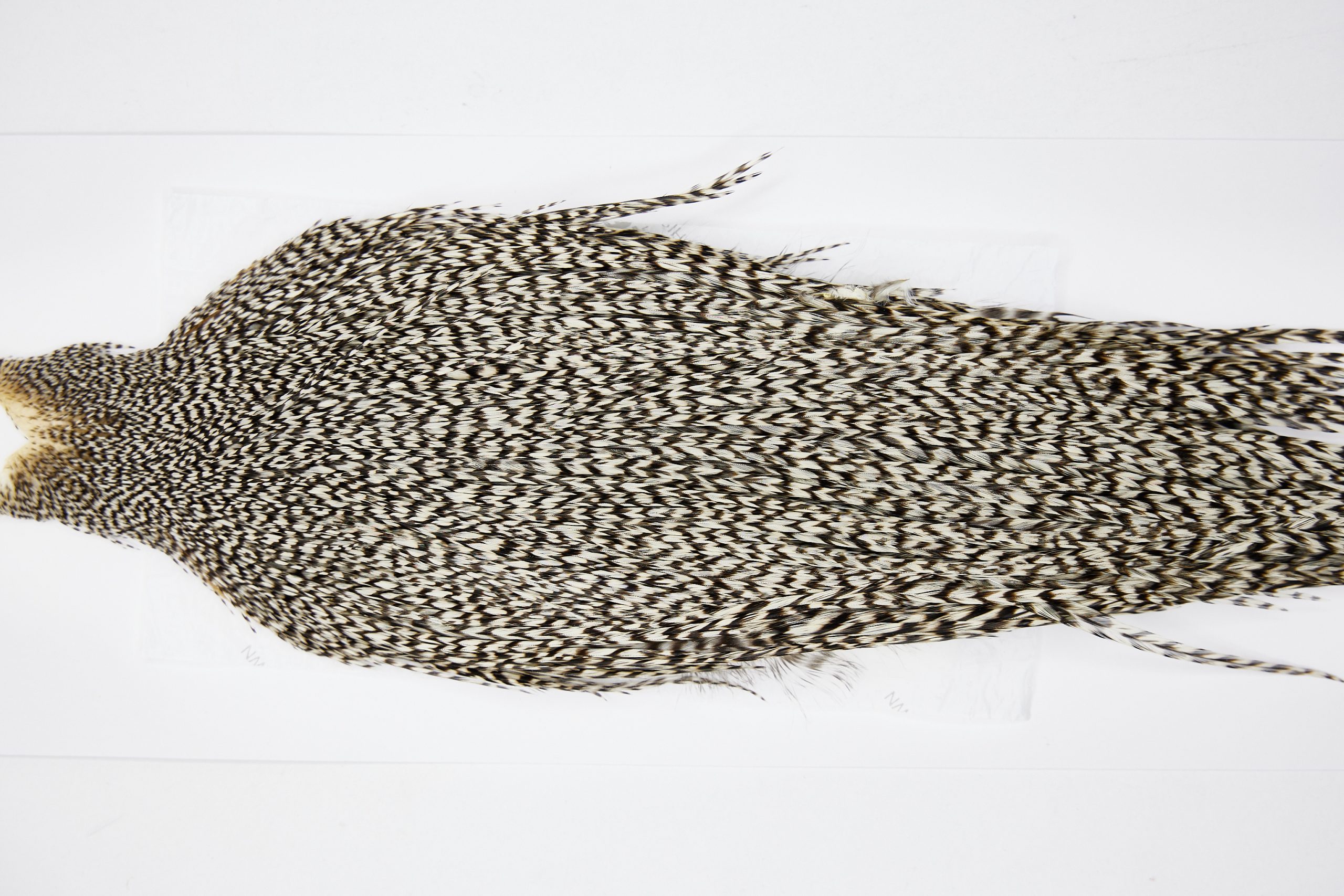 11609 Beaverkill Dry Fly Hackle Rooster Saddle Grizzly Ties Size 8-22