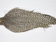 11612 Beaverkill Dry Fly Hackle Rooster Cape Grizzly Ties Size 8-22