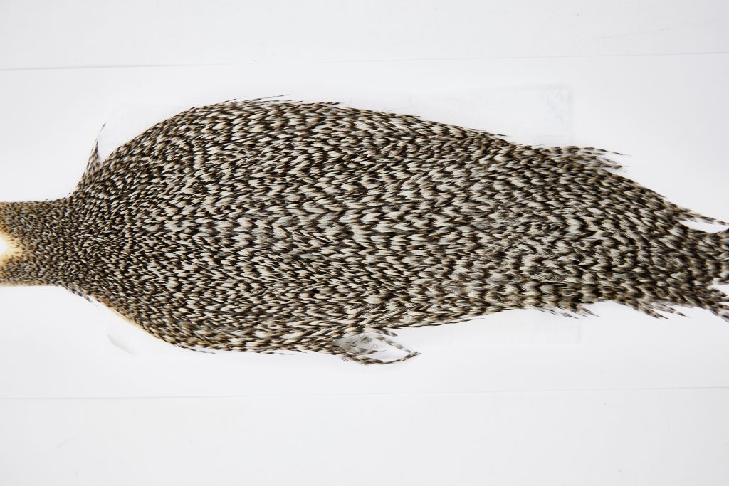 11613 Beaverkill Dry Fly Hackle Rooster Cape Grizzly Ties Size 8-22