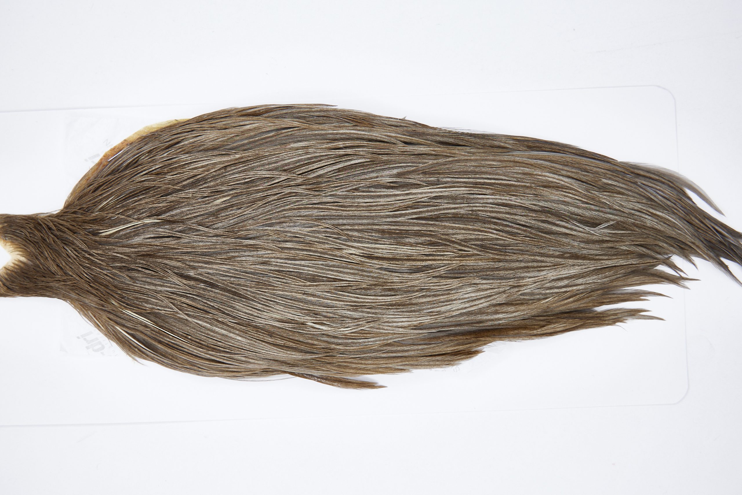 11621 Beaverkill Dry Fly Hackle Rooster Cape Medium Grey Dun Ties Size 6-22