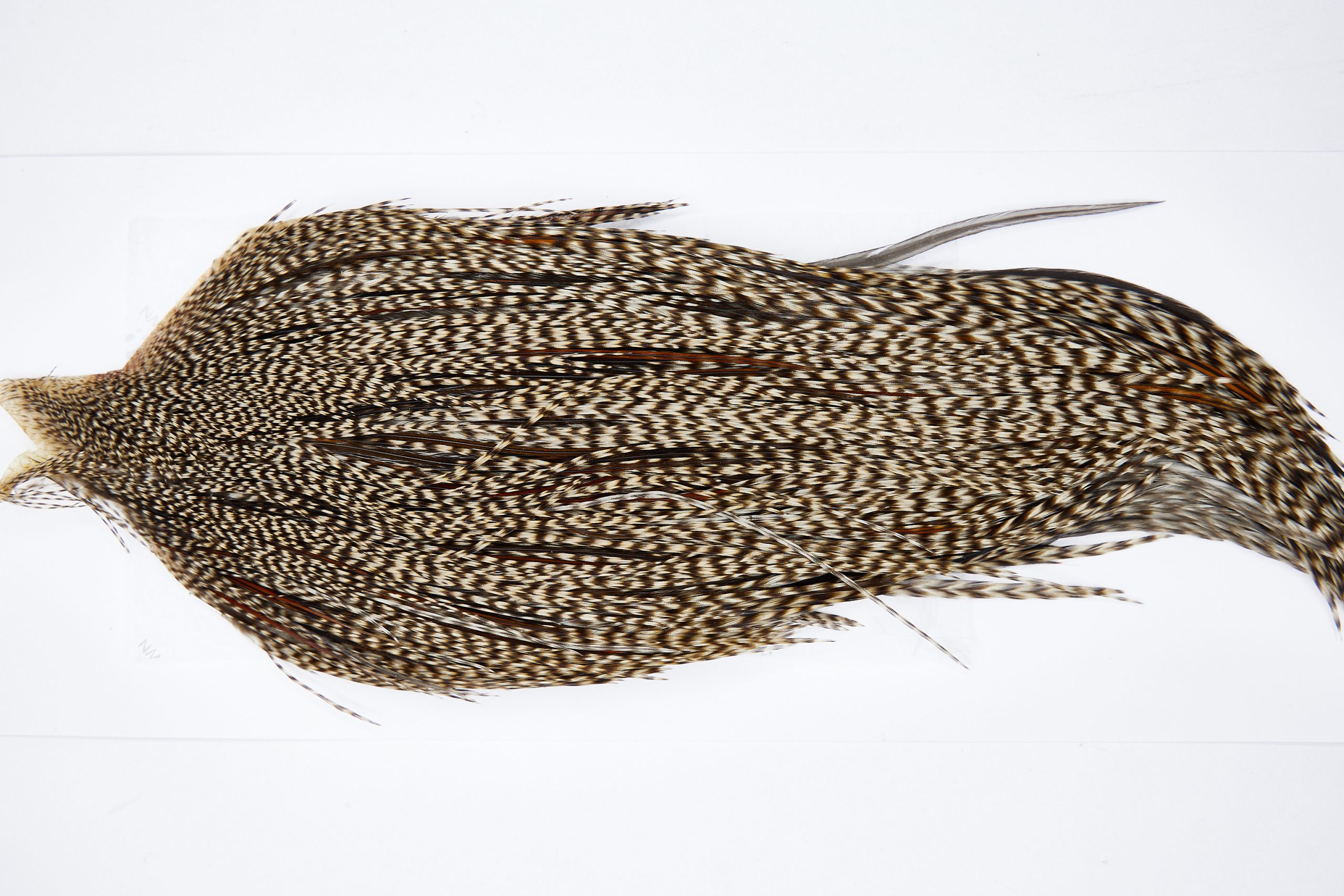 11627 Beaverkill Dry Fly Hackle Rooster Cape Grizzly Variant Ties Size 8-22