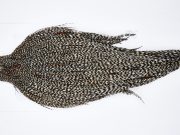 11628 Beaverkill Dry Fly Hackle Rooster Cape Grizzly Variant Ties Size 10-22