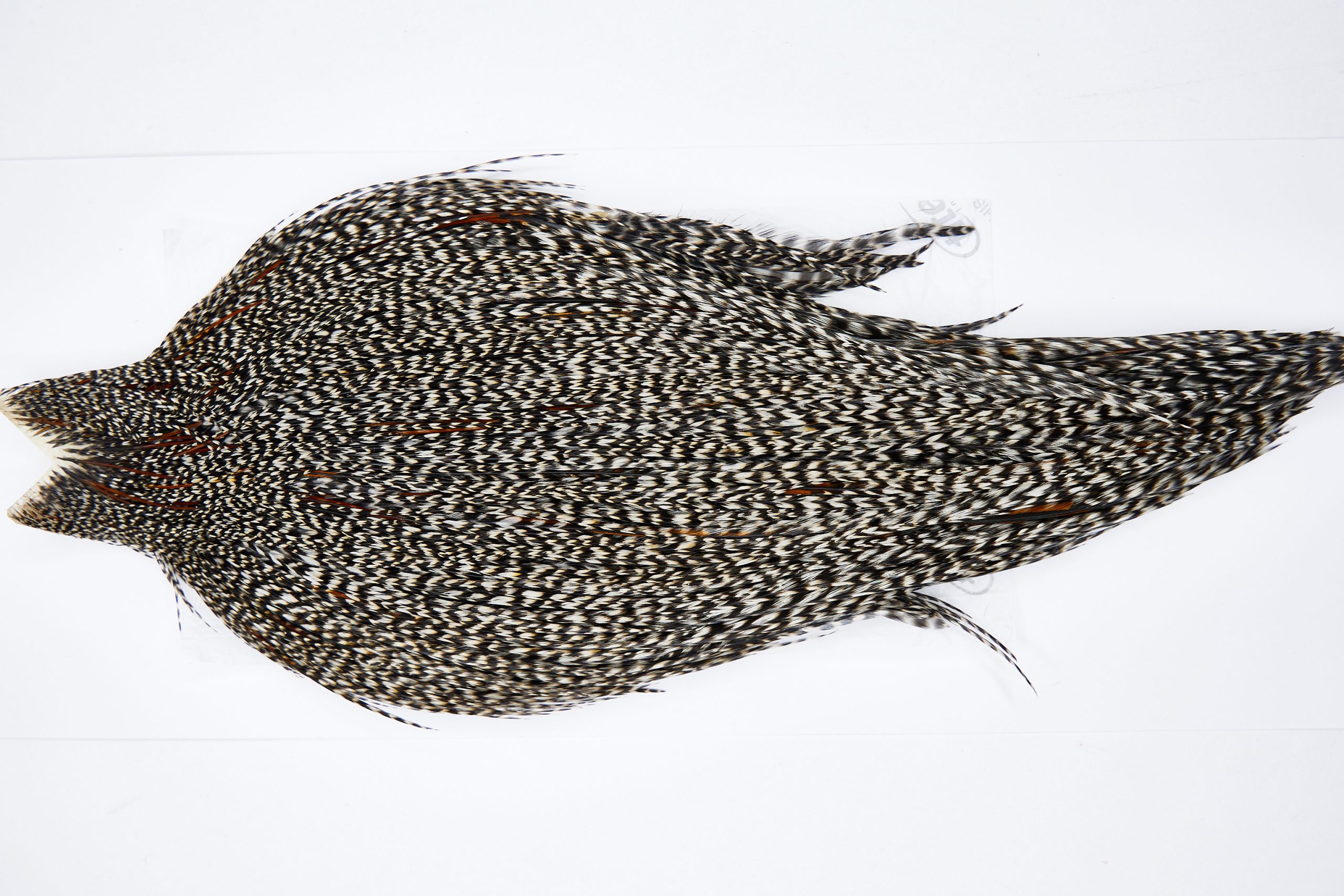 11628 Beaverkill Dry Fly Hackle Rooster Cape Grizzly Variant Ties Size 10-22