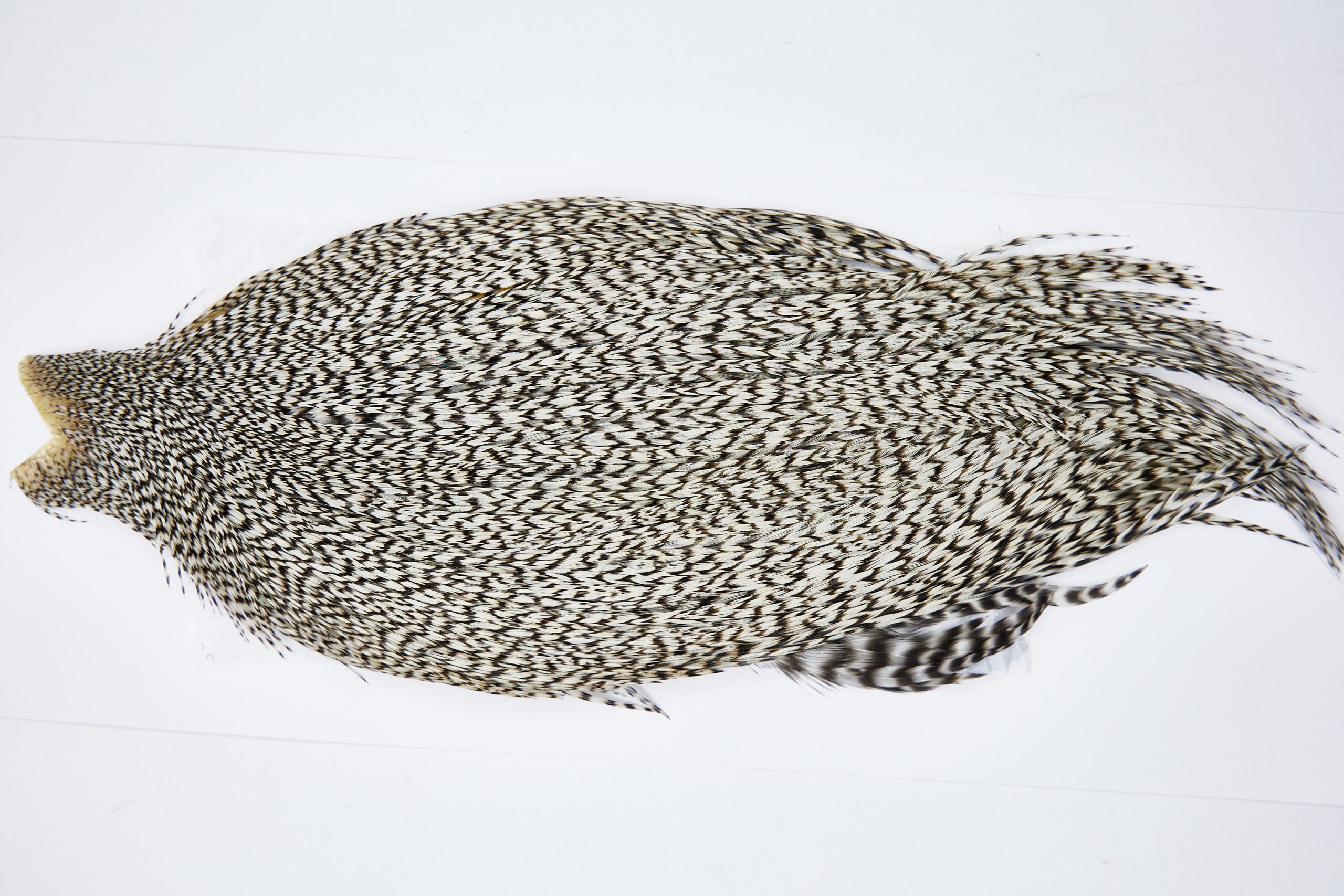 11630 Beaverkill Dry Fly Hackle Rooster Cape Grizzly Variant Ties Size 8-22