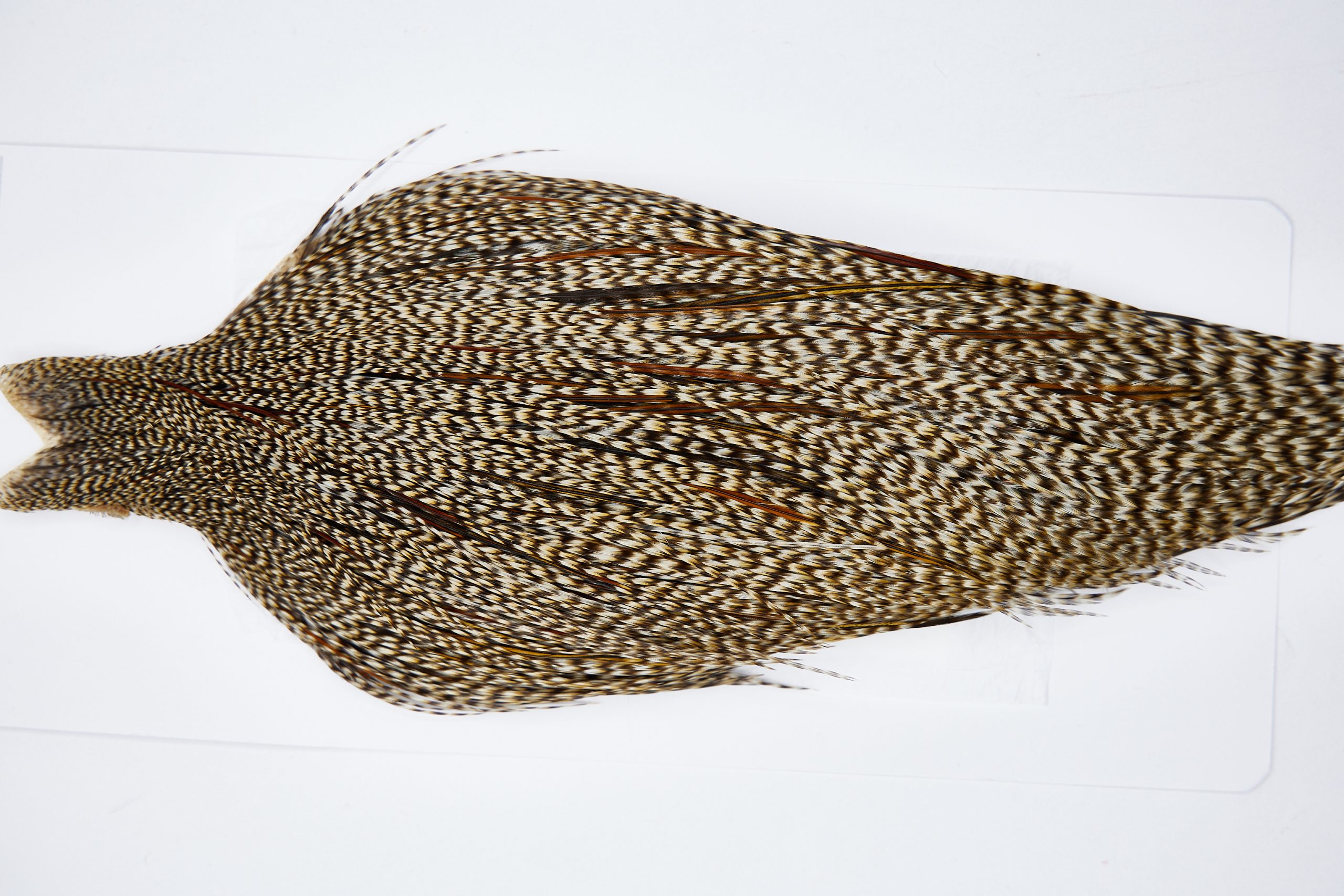 11631 Beaverkill Dry Fly Hackle Rooster Cape Grizzly Variant Ties Size 8-22