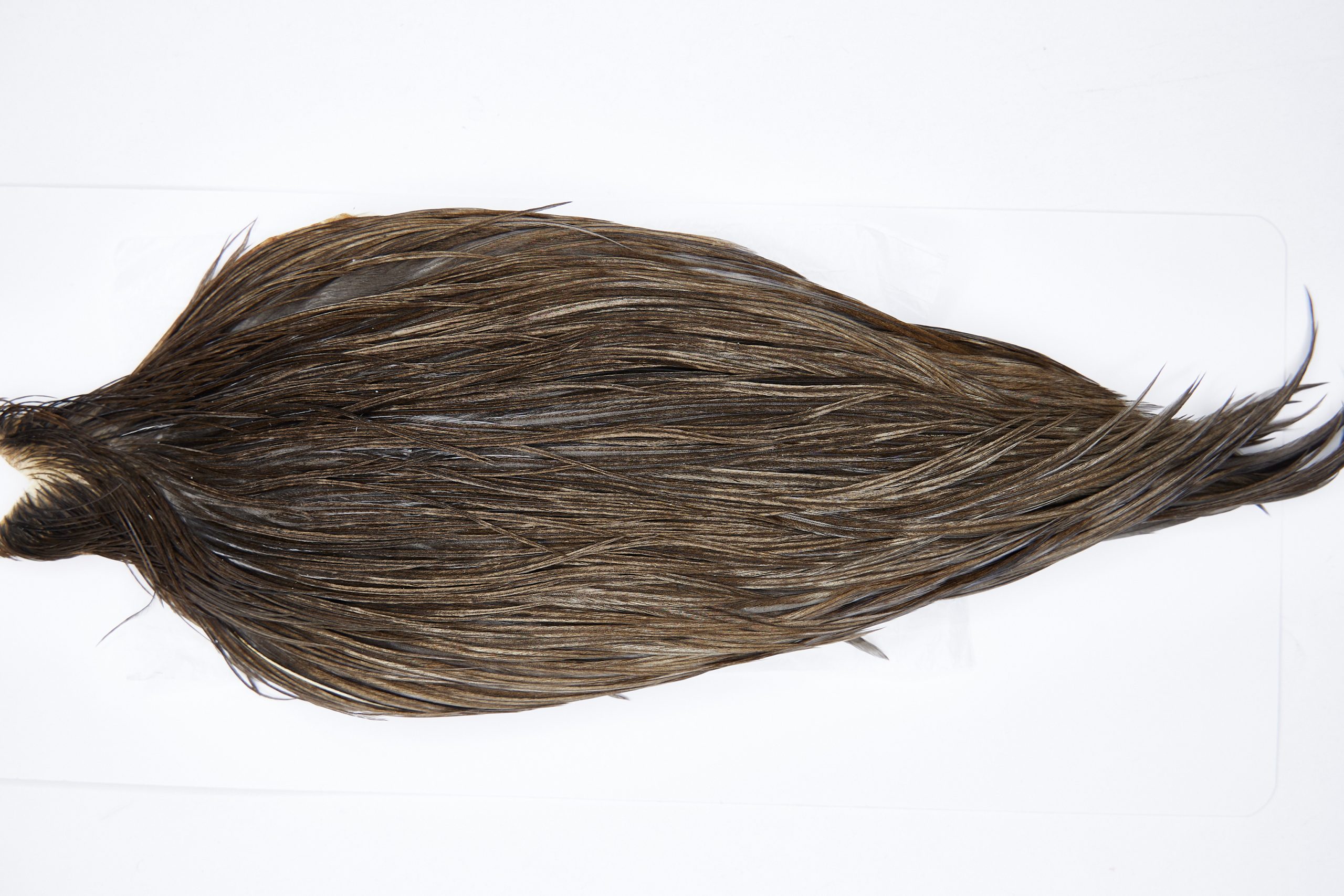 11632 Beaverkill Dry Fly Hackle Rooster Cape Dark Grey Dun Ties Size 8-22