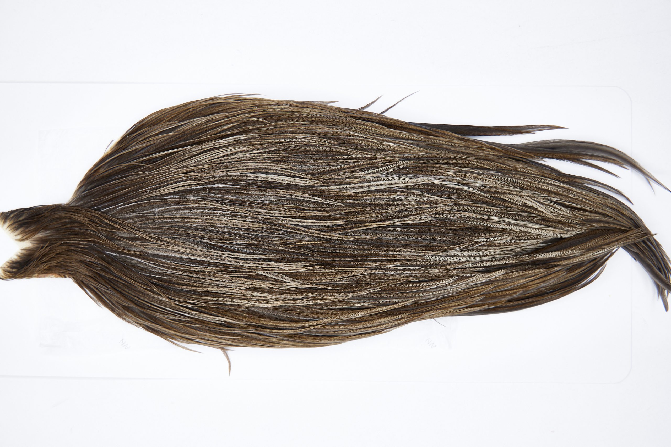 11634 Beaverkill Dry Fly Hackle Rooster Cape Dark Grey Dun Ties Size 6-22