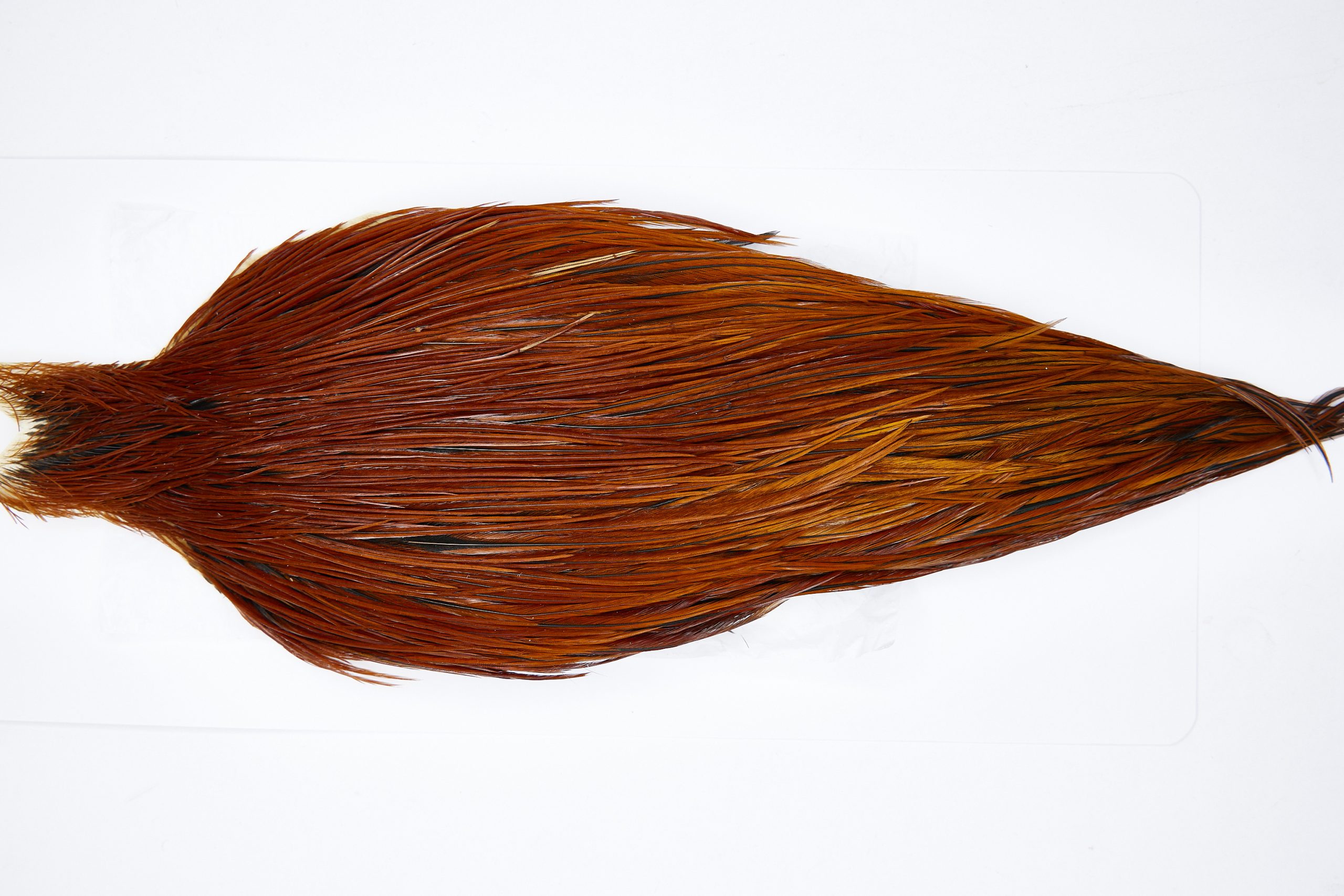 11638 Beaverkill Dry Fly Hackle Rooster Cape Brown Ties Size 10-24