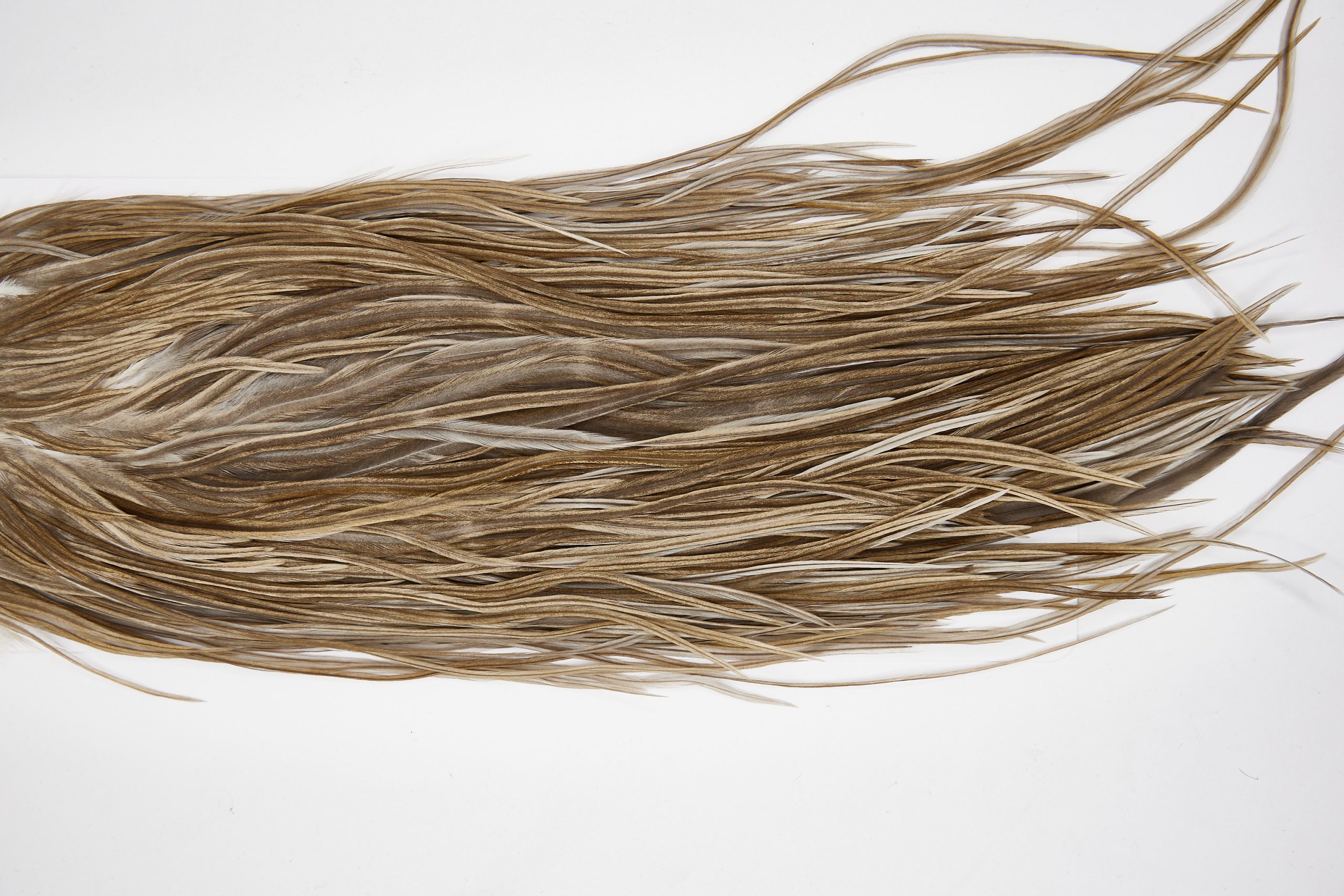 11640 Beaverkill Dry Fly Hackle Rooster Saddle Medium Grey Dun Ties Size 12-14