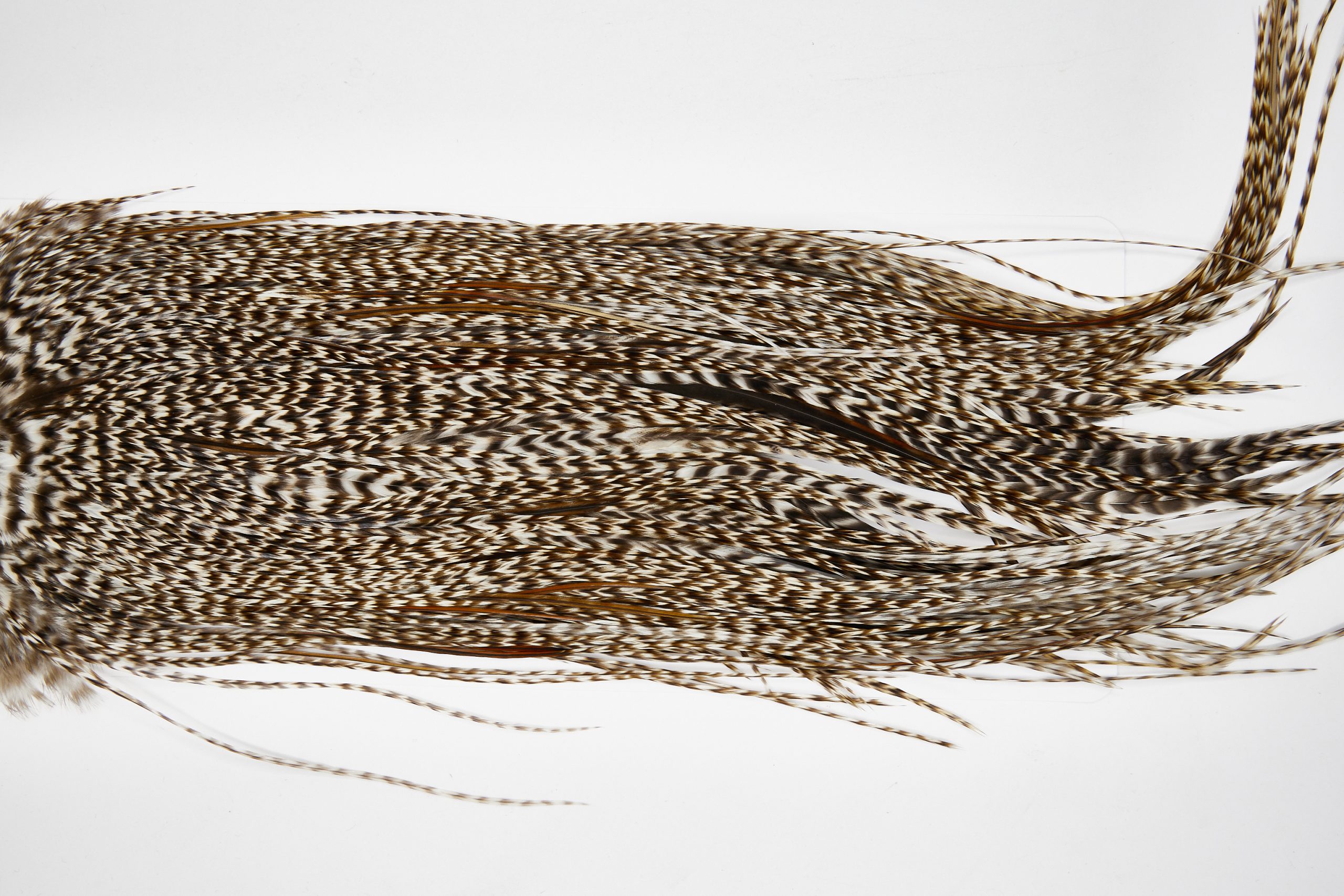 11644 Beaverkill Dry Fly Hackle Rooster Saddle Dun Grizzly Ties Size 12-16