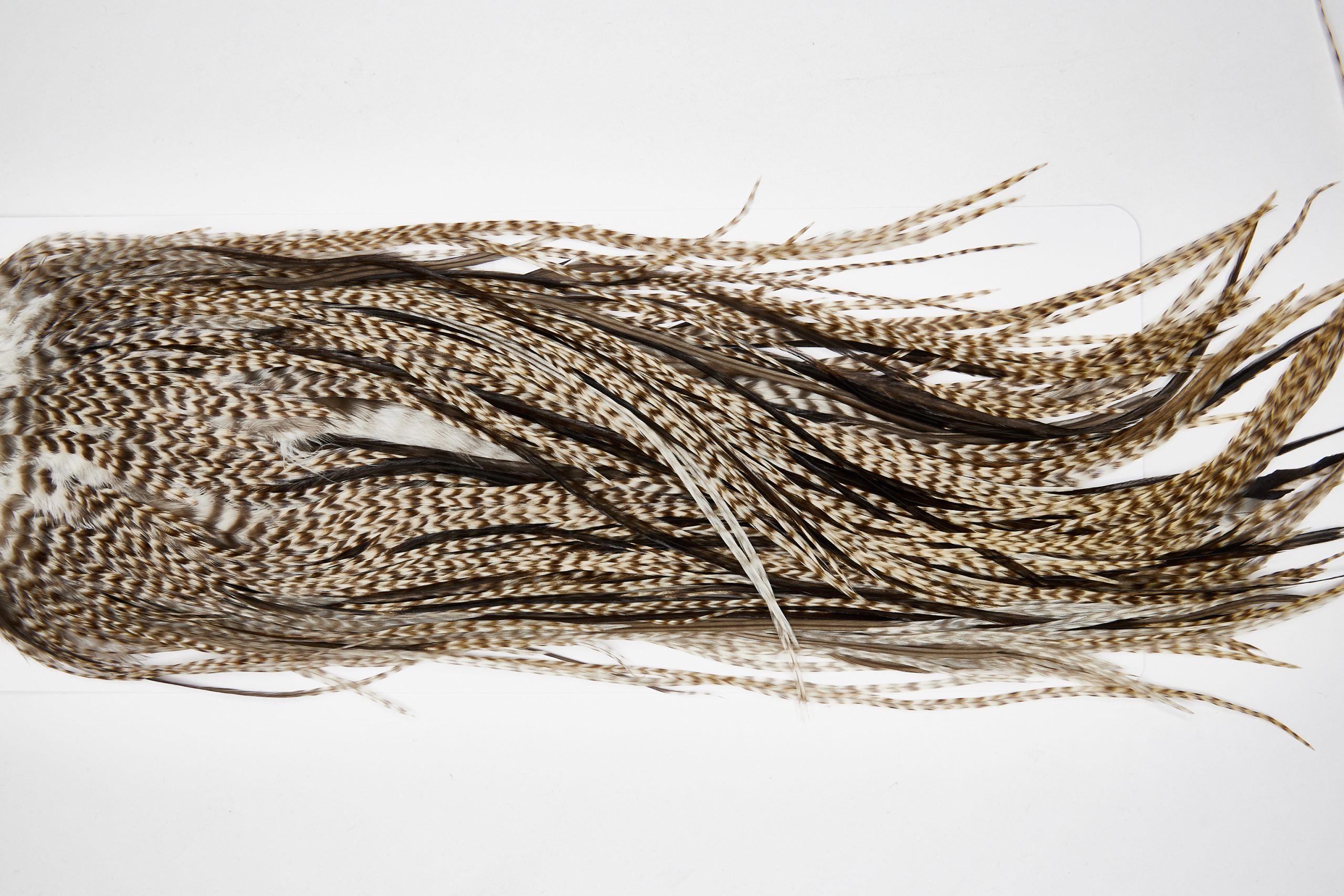 11645 Beaverkill Dry Fly Hackle Rooster Saddle Dun Grizzly Ties Size 14-16