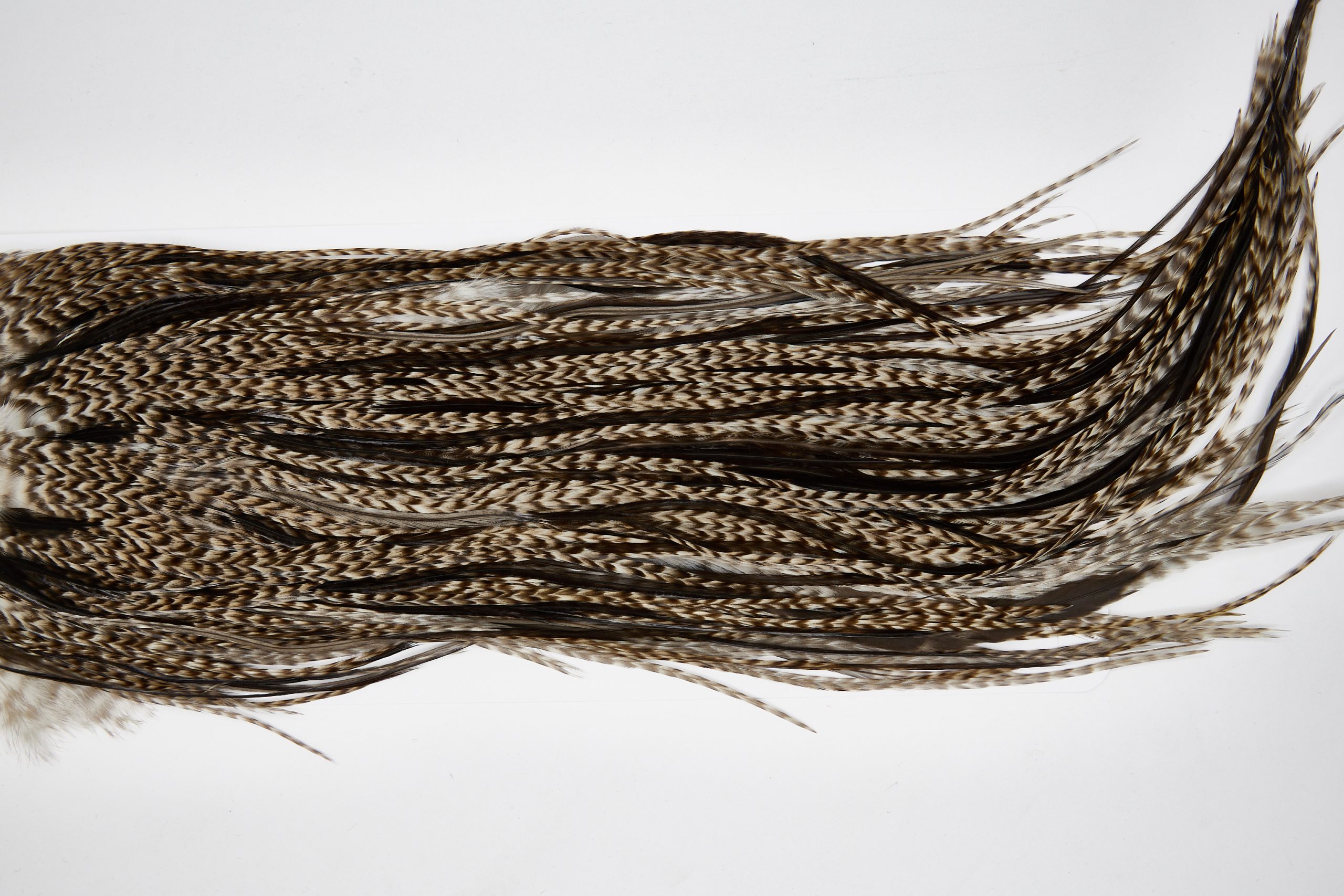 11647 Beaverkill Dry Fly Hackle Rooster Saddle Dun Grizzly Ties Size 12-14