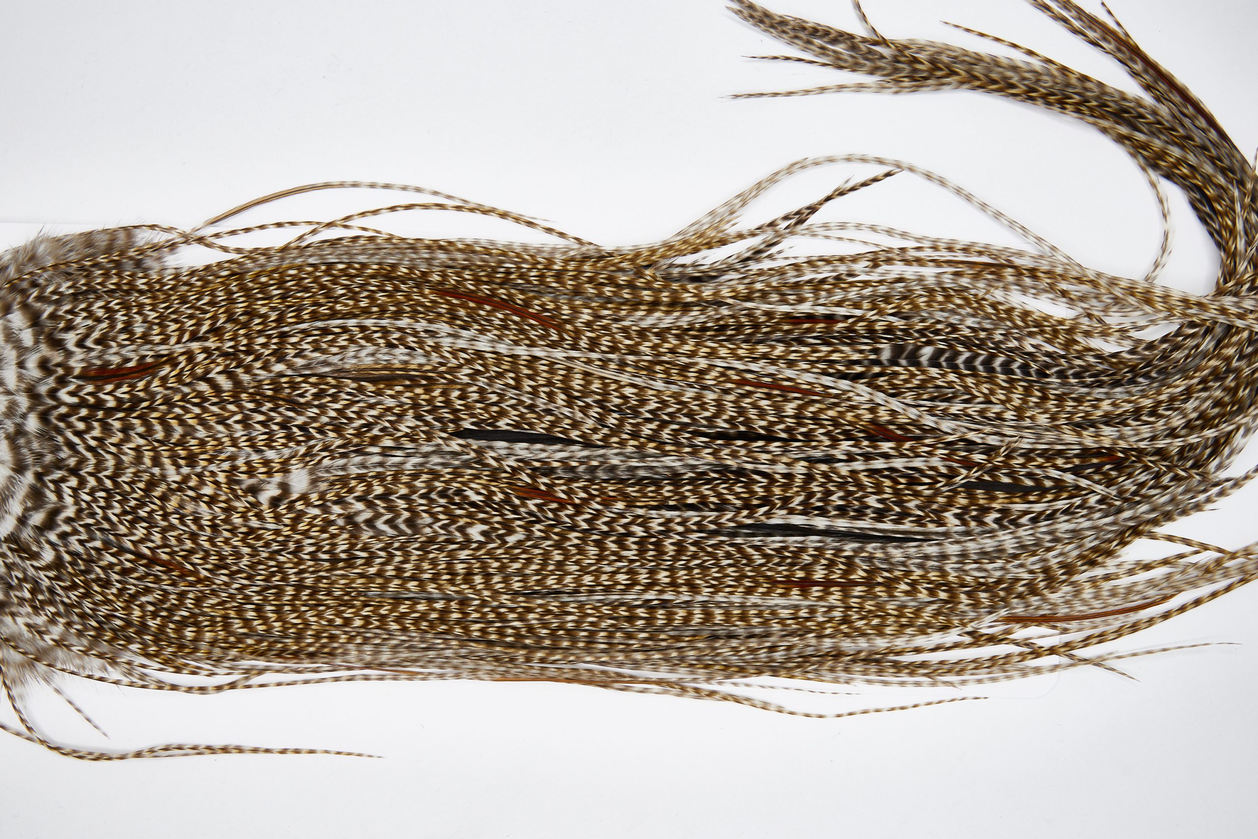 11648 Beaverkill Dry Fly Hackle Rooster Saddle Dun Grizzly Ties Size 14-16