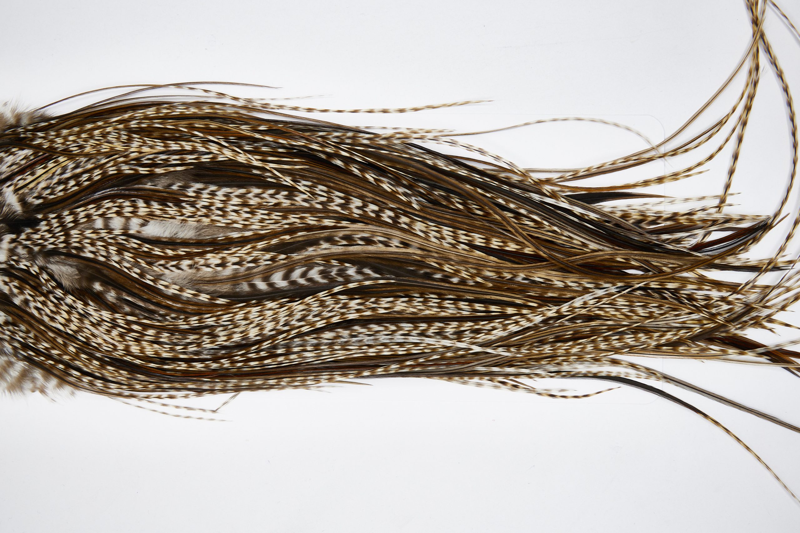 11649 Beaverkill Dry Fly Hackle Rooster Saddle Dun Grizzly Ties Size 12-16