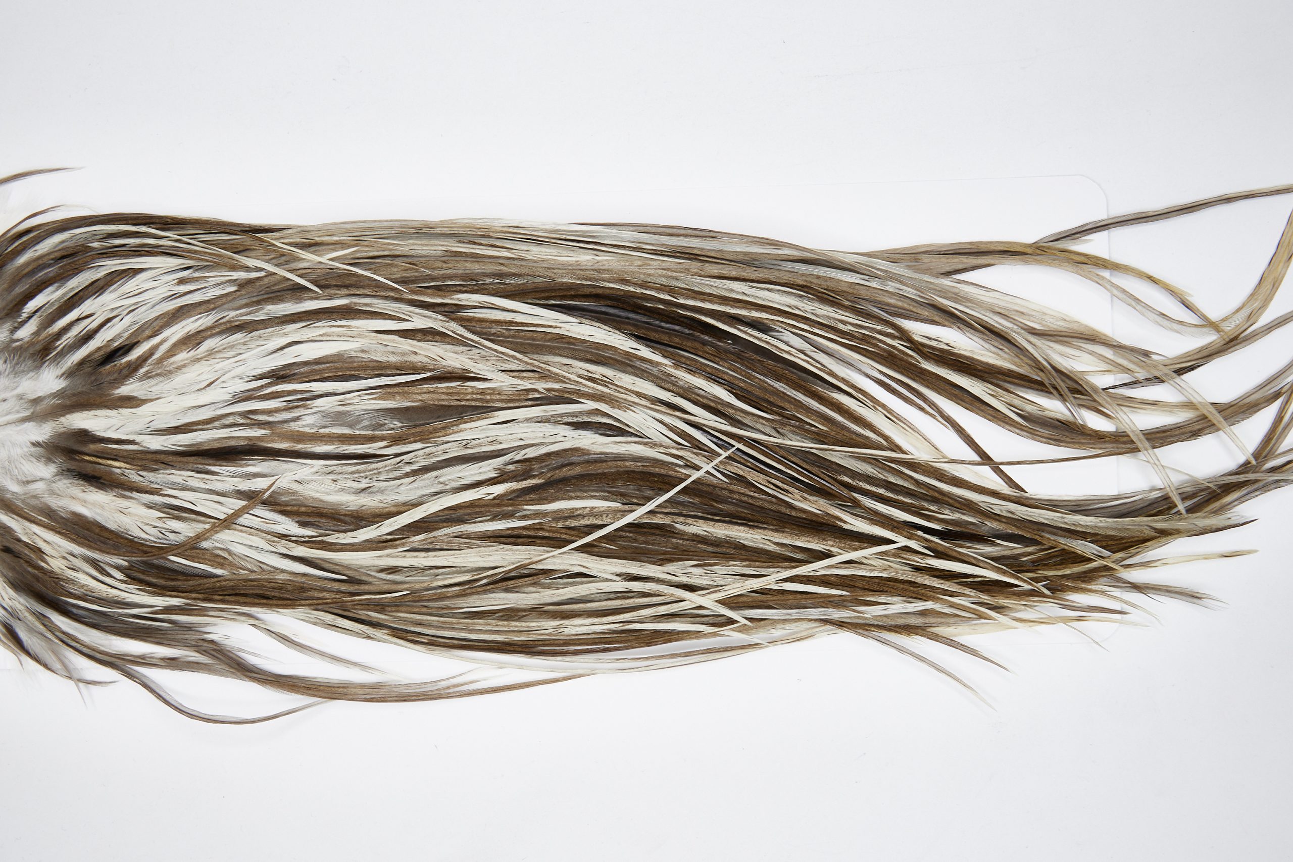 11652 Beaverkill Dry Fly Hackle Rooster Saddle Dun Splash Ties Size 12-14