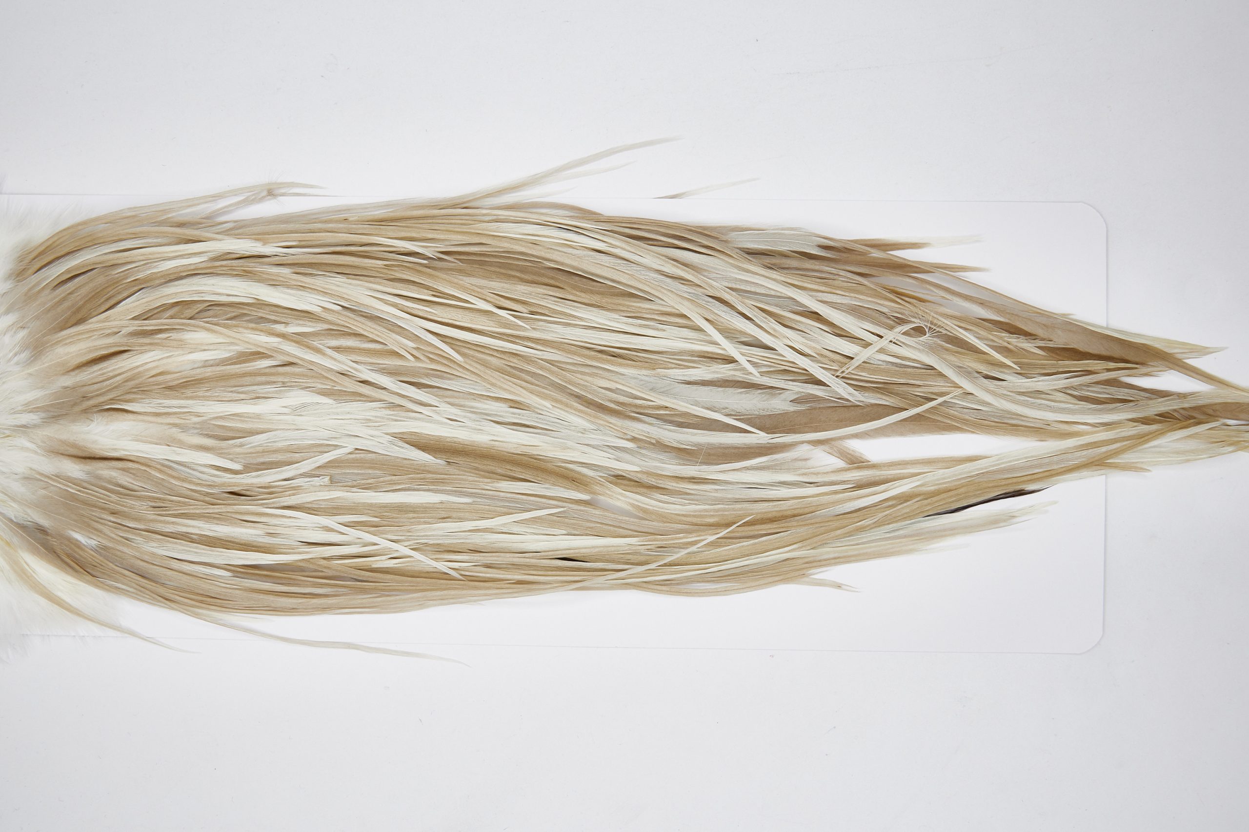 11653 Beaverkill Dry Fly Hackle Rooster Saddle Dun Splash Ties Size 10-14