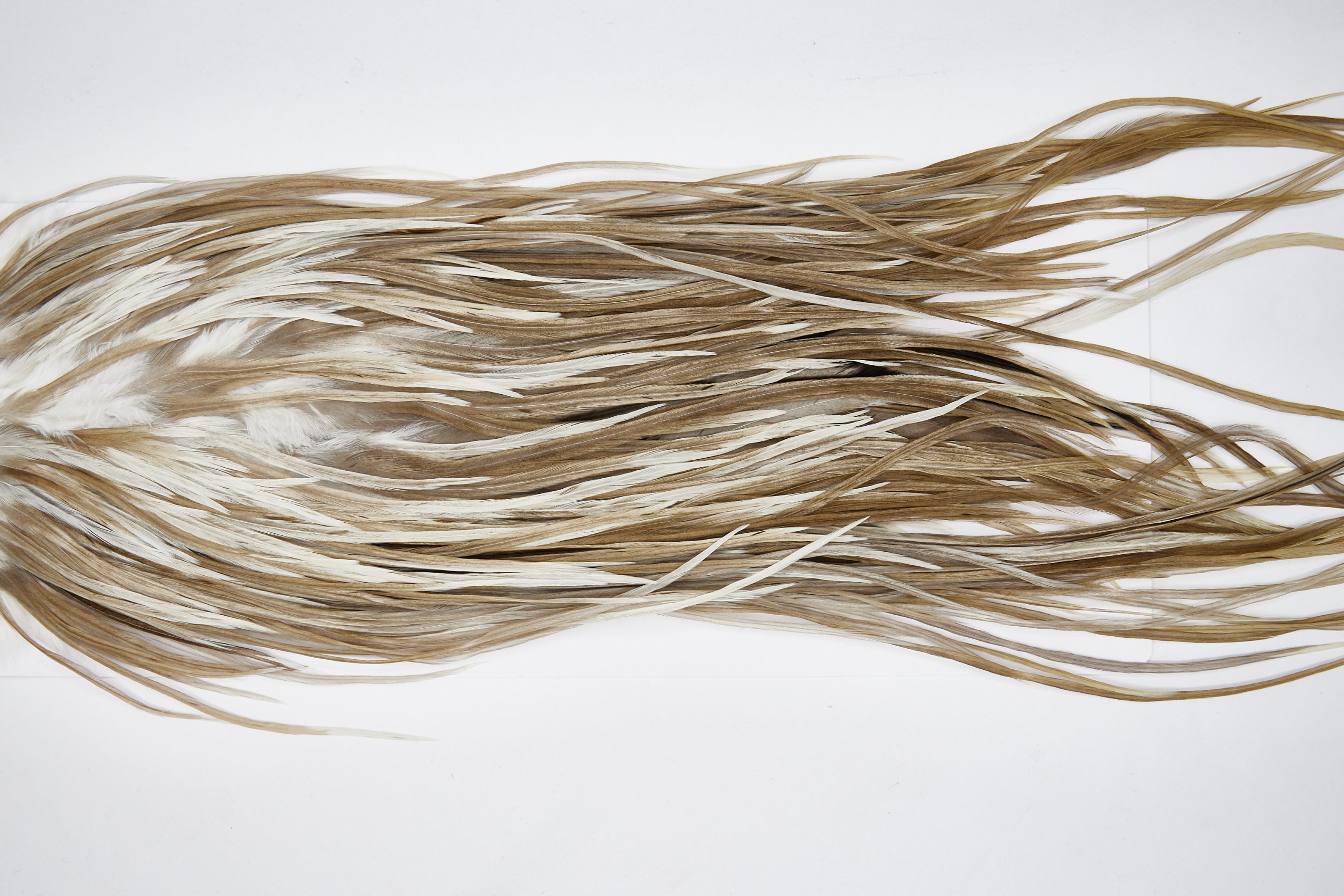 11654 Beaverkill Dry Fly Hackle Rooster Saddle Dun Splash Ties Size 10-12