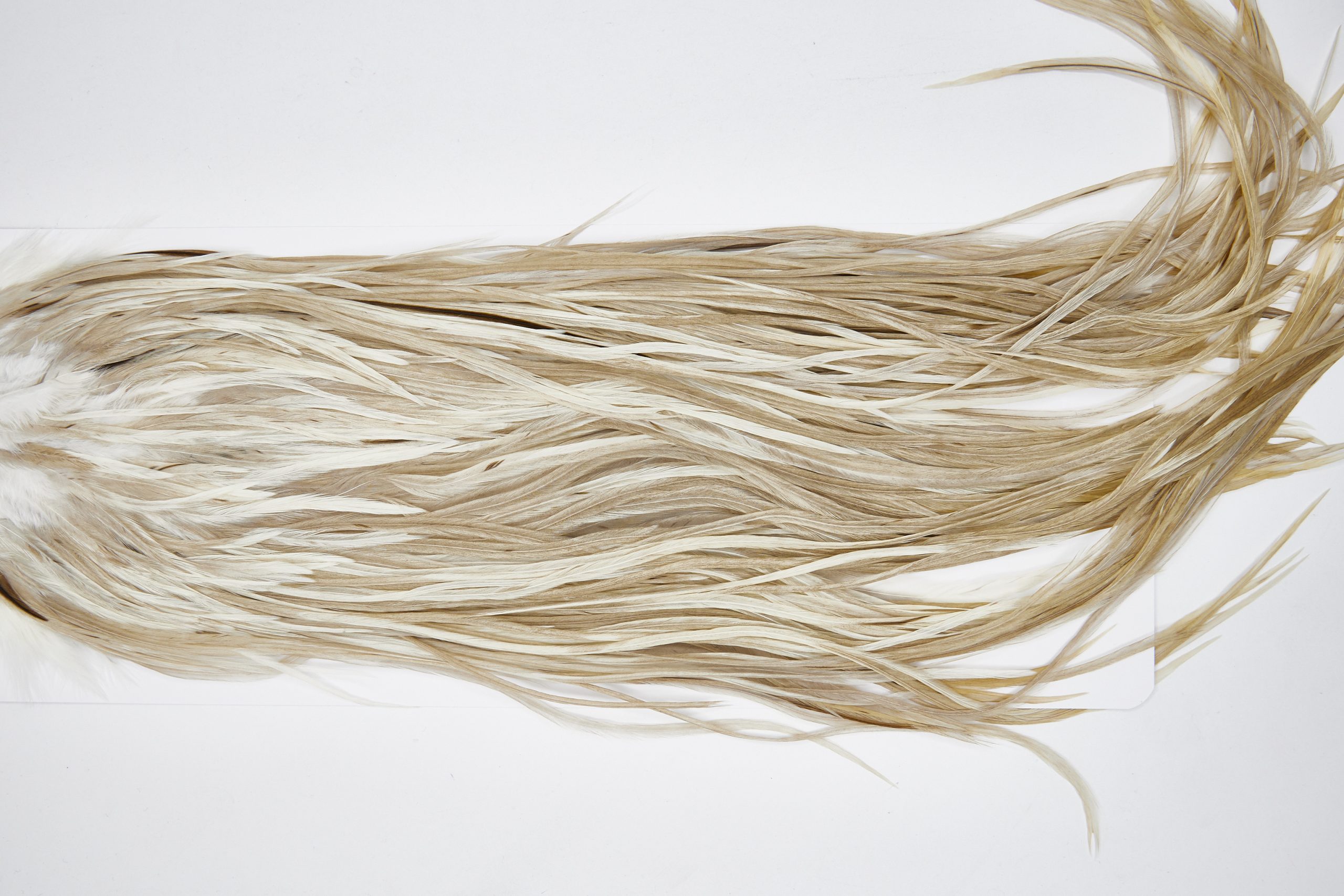 11655 Beaverkill Dry Fly Hackle Rooster Saddle Dun Splash Ties Size 12-14