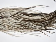 11658 Beaverkill Dry Fly Hackle Rooster Saddle Dun Splash Ties Size 12-16