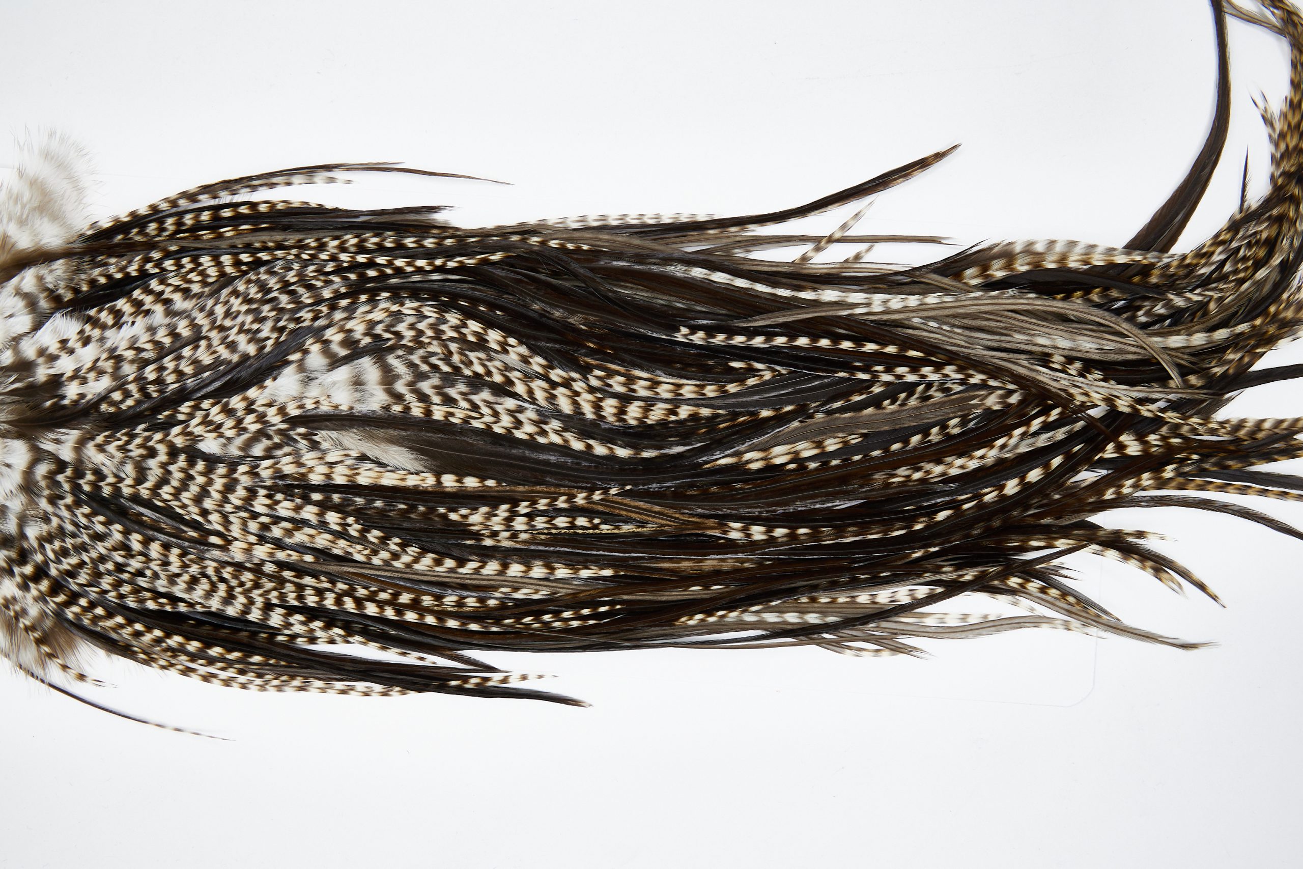 11659 Beaverkill Dry Fly Hackle Rooster Saddle Variant Ties Size 12-14