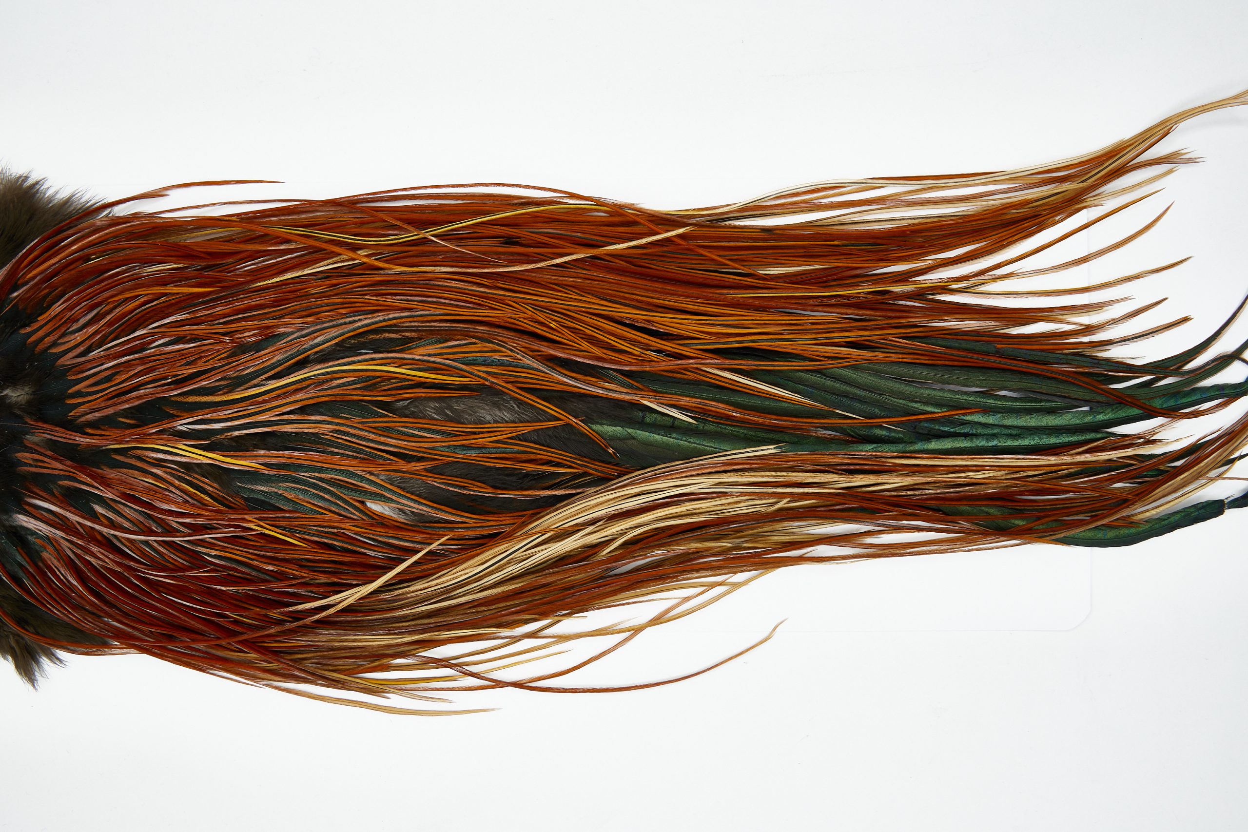 11662 Beaverkill Dry Fly Hackle Rooster Saddle Furnace Ties Size 16-18