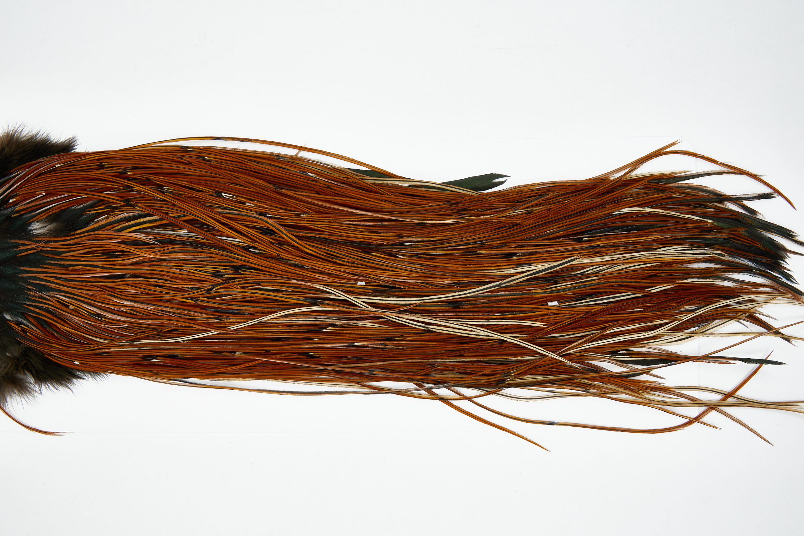 11663 Beaverkill Dry Fly Hackle Rooster Saddle Furnace Ties Size 16-18