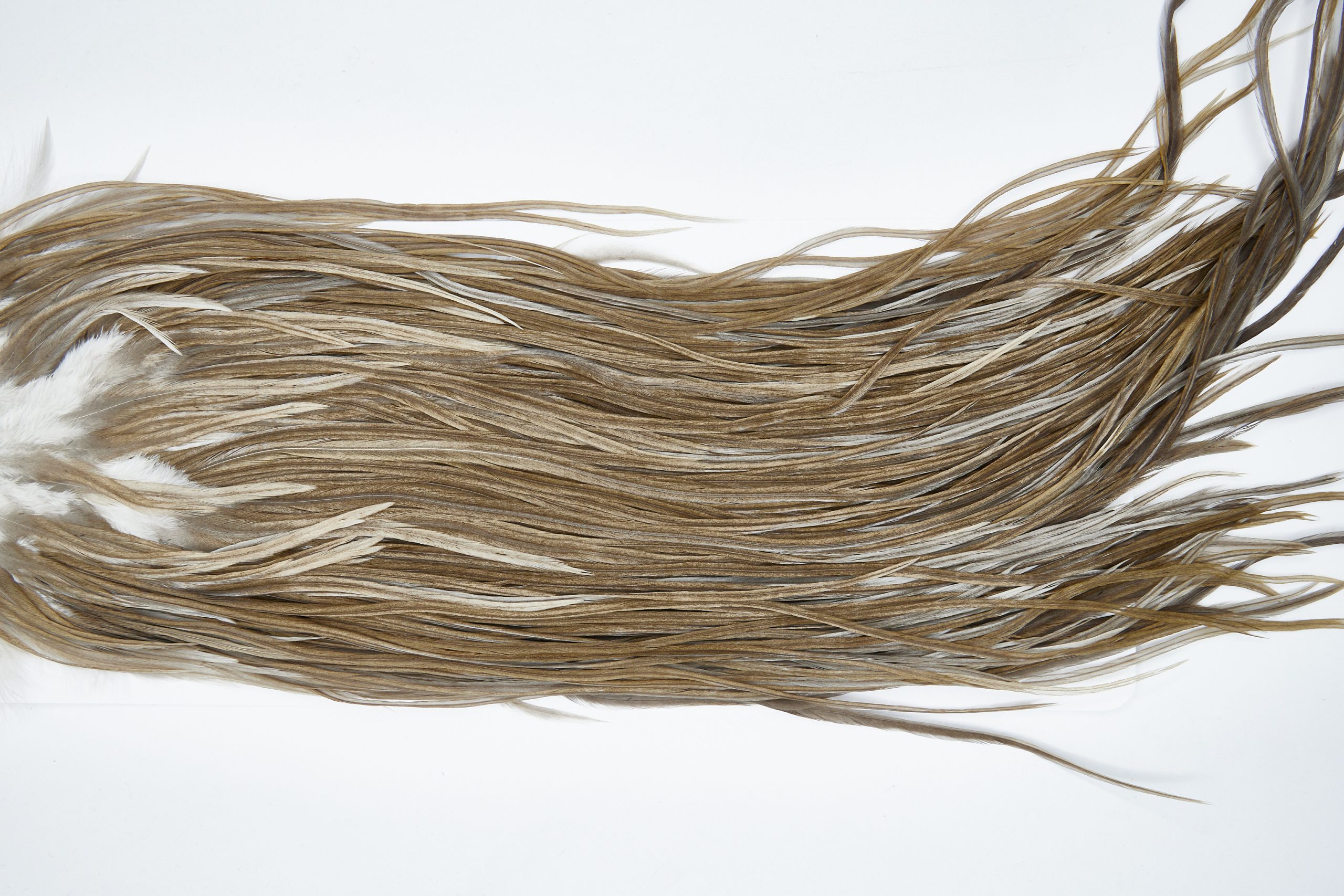 11669 Beaverkill Dry Fly Hackle Rooster Saddle Medium Grey Dun Ties Size 10-12