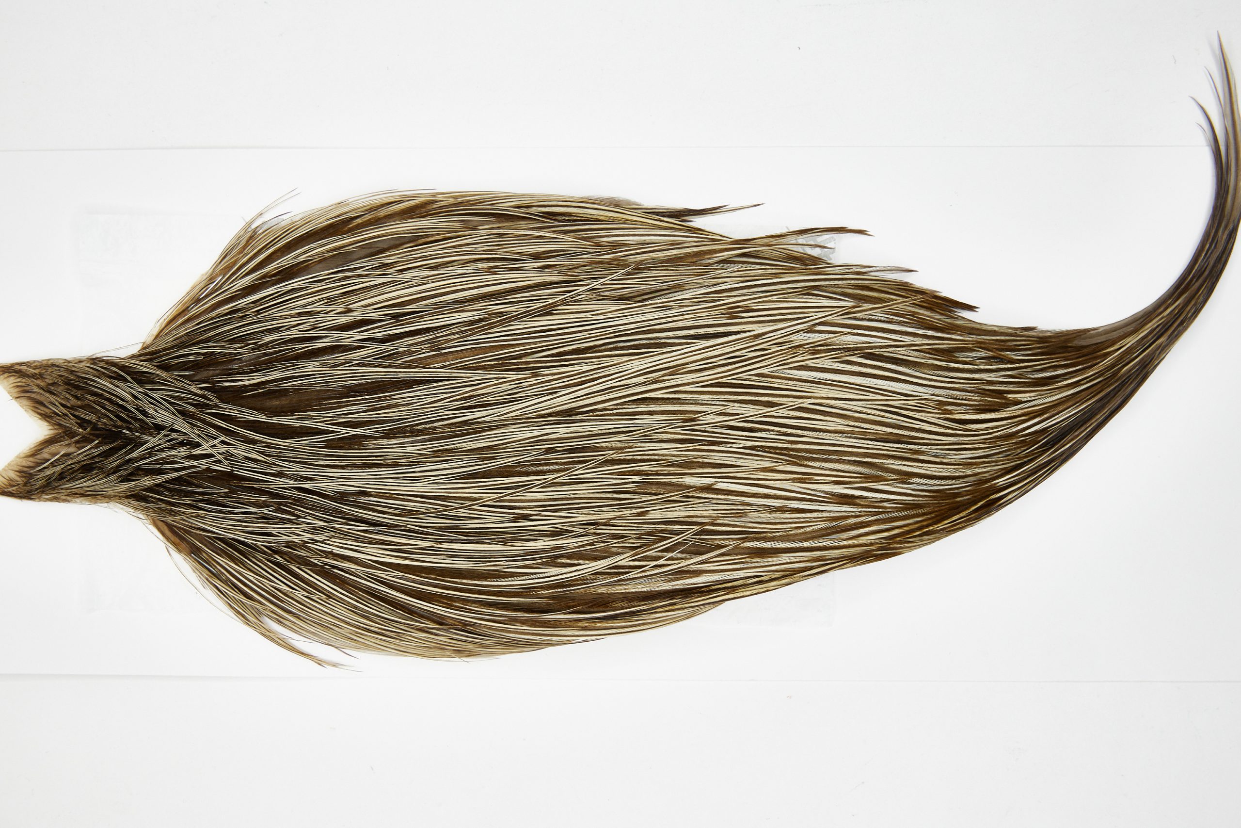 11677 Beaverkill Dry Fly Hackle Rooster Cape Badger Ties Size 10-22