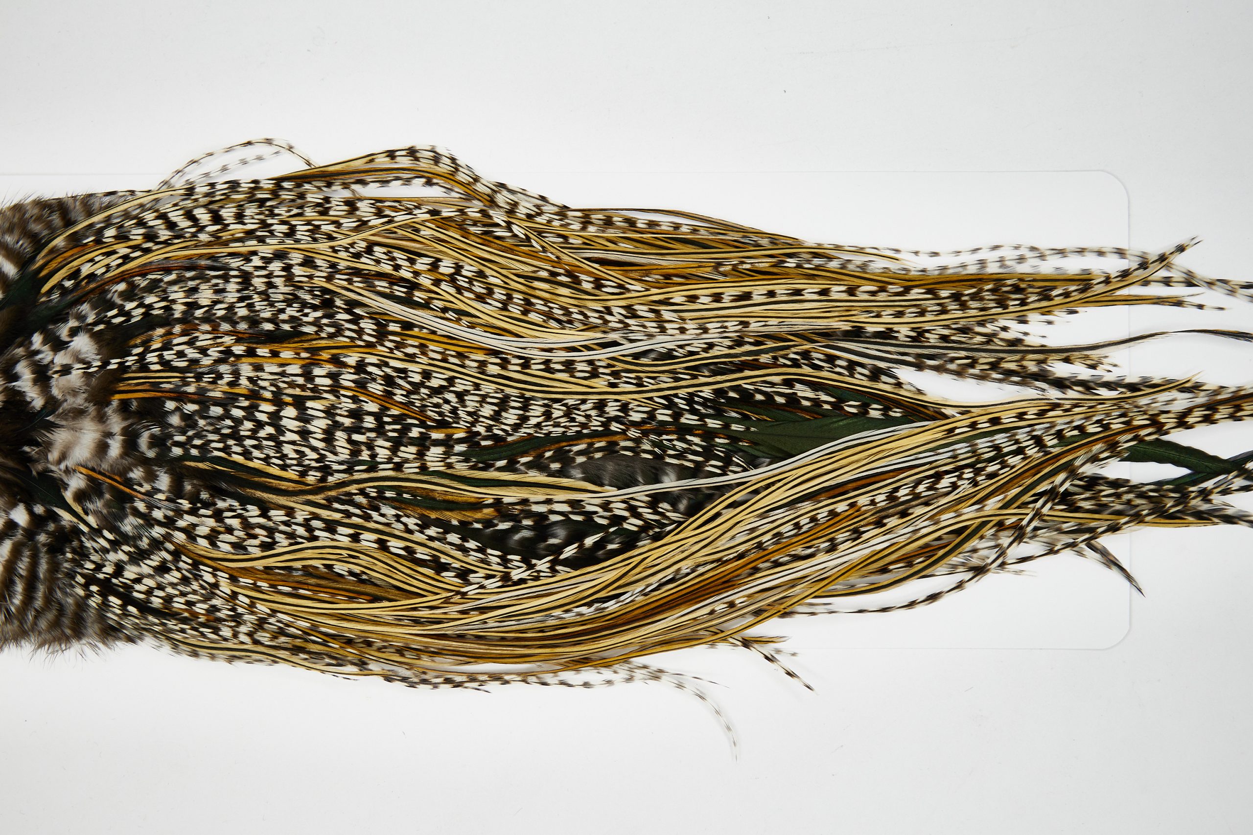 11679 Beaverkill Dry Fly Hackle Rooster Saddle Grizzly Variant Ties Size 14-16