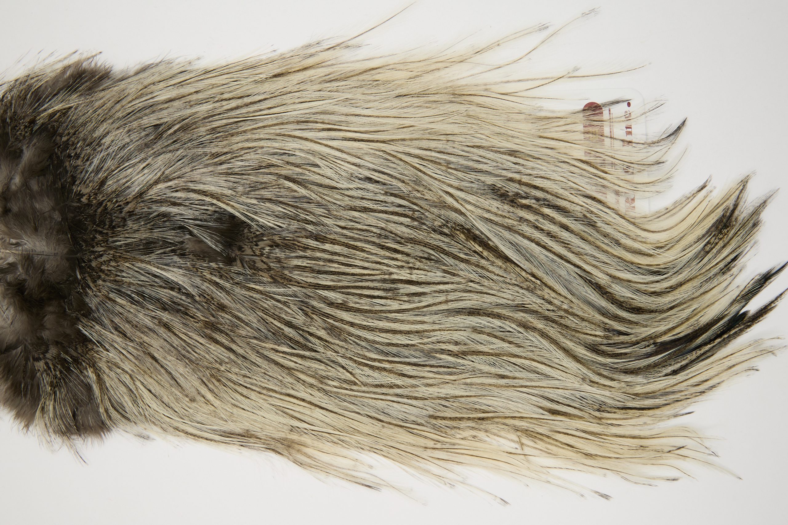 11726 Coq De Leon Dry Fly Hackle Silver Grade Rooster Saddle Cream Badger Ties Size NA