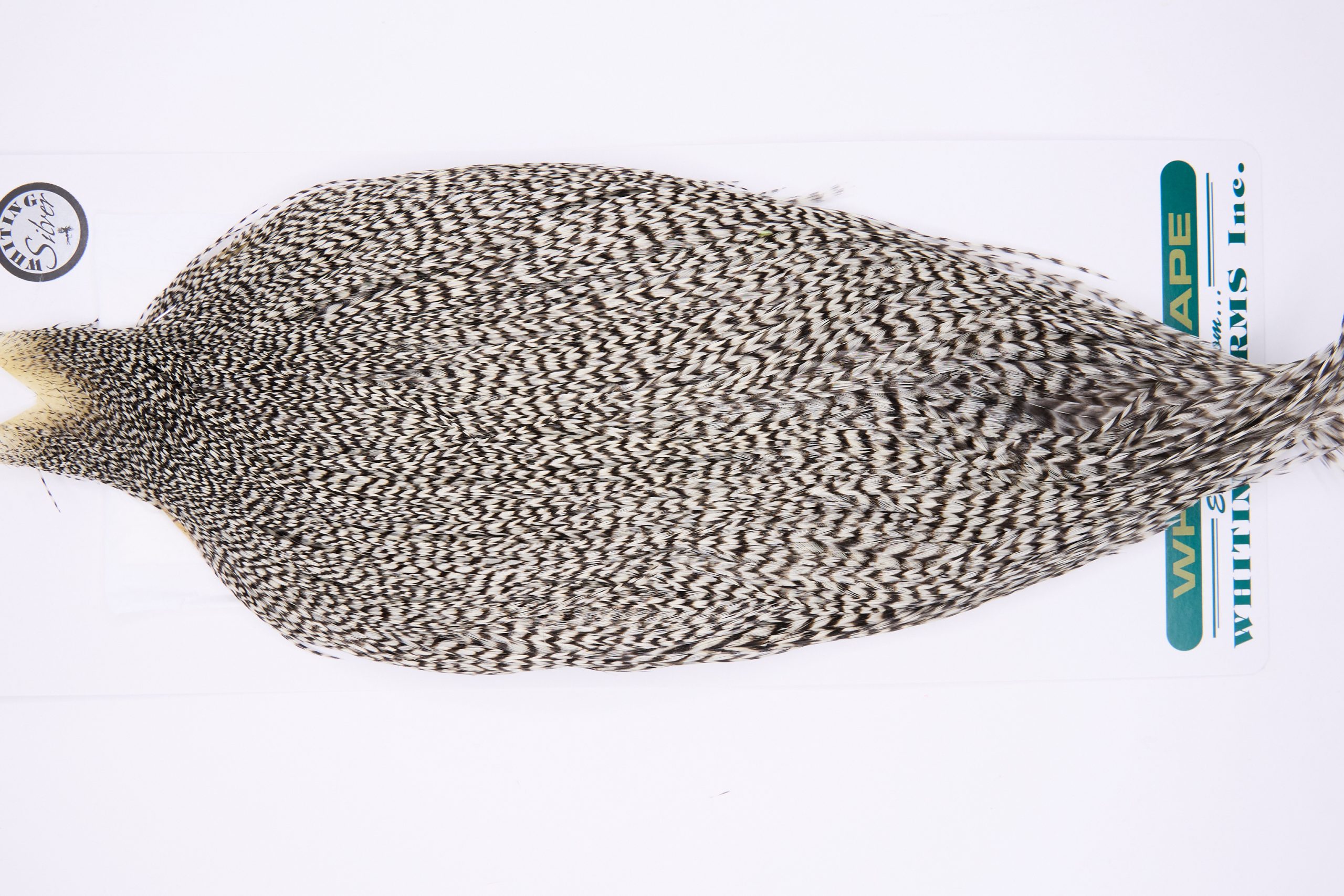 11743 Hebert Dry Fly Hackle Silver Grade Rooster Cape Grizzly Ties Size 6-22