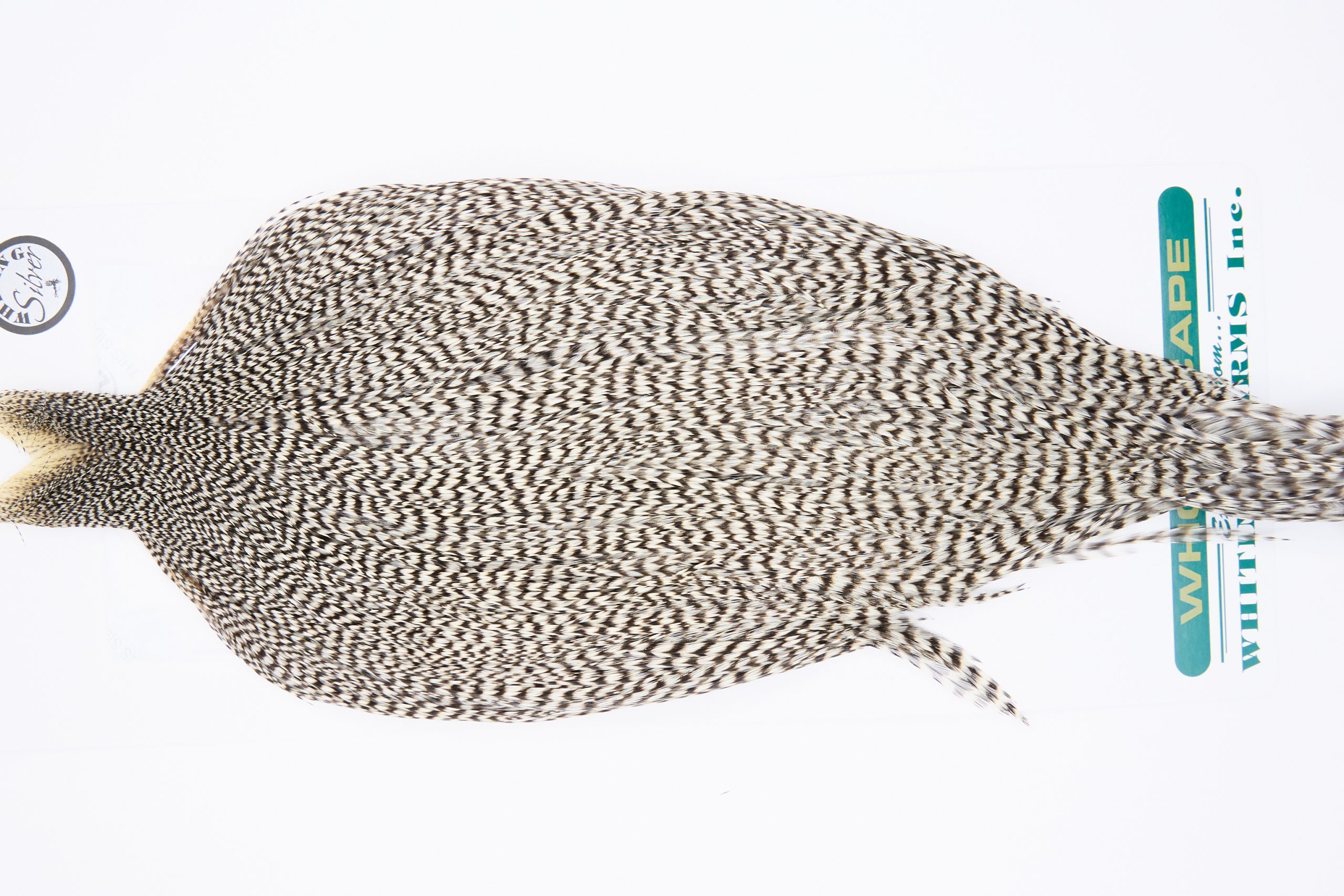 11744 Hebert Dry Fly Hackle Silver Grade Rooster Cape Grizzly Ties Size 8-22