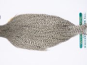 11745 Hebert Dry Fly Hackle Silver Grade Rooster Cape Grizzly Ties Size 8-22