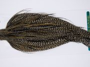 11752 Hebert Dry Fly Hackle Silver Grade Rooster Cape Grizzly Variant Ties Size 10-20