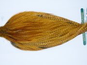 11835 Hebert Dry Fly Hackle Pro Grade Rooster Cape Barred Dark Ginger Ties Size 8-20