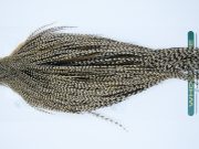 11836 Hebert Dry Fly Hackle Pro Grade Rooster Cape Grizzly Variant Ties Size 8-22