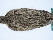 11837 Hebert Dry Fly Hackle Pro Grade Rooster Cape Grizzly Variant Ties Size 8-22