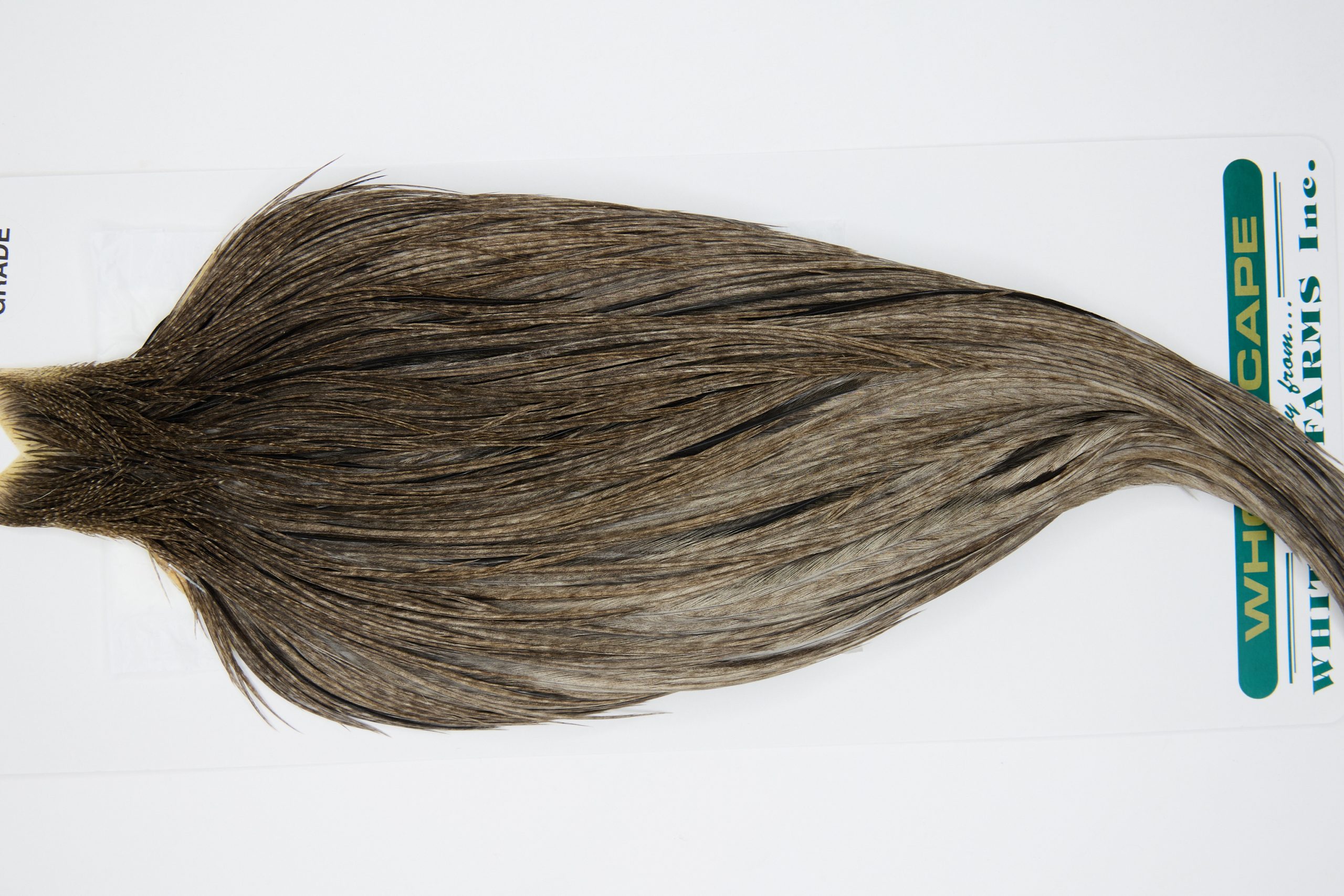 11856 Hebert Dry Fly Hackle Pro Grade Rooster Cape Dark Grey Dun Ties Size 10-22