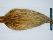 11875 Hebert Dry Fly Hackle Pro Grade Rooster Cape Medium Barred Ginger Ties Size 8-20